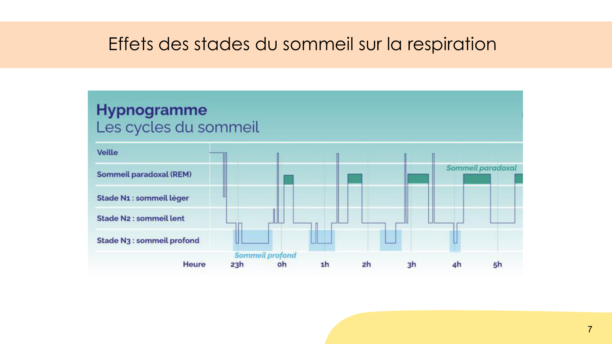 Respiration et sommeil page 7
