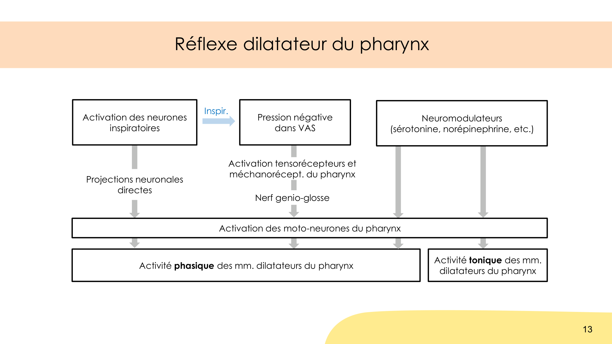 Respiration et sommeil page 13