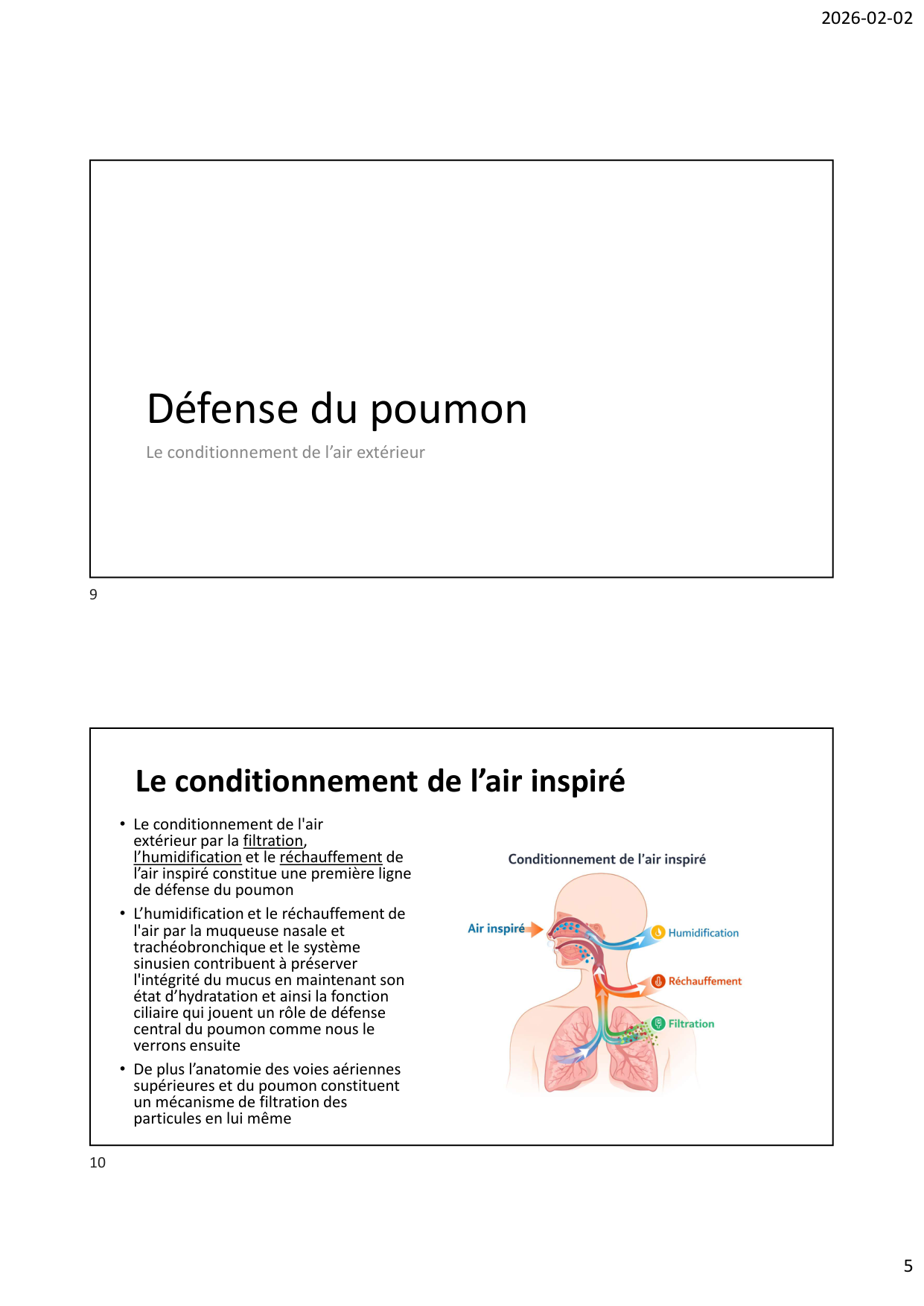 Défense pulmonaire page 5