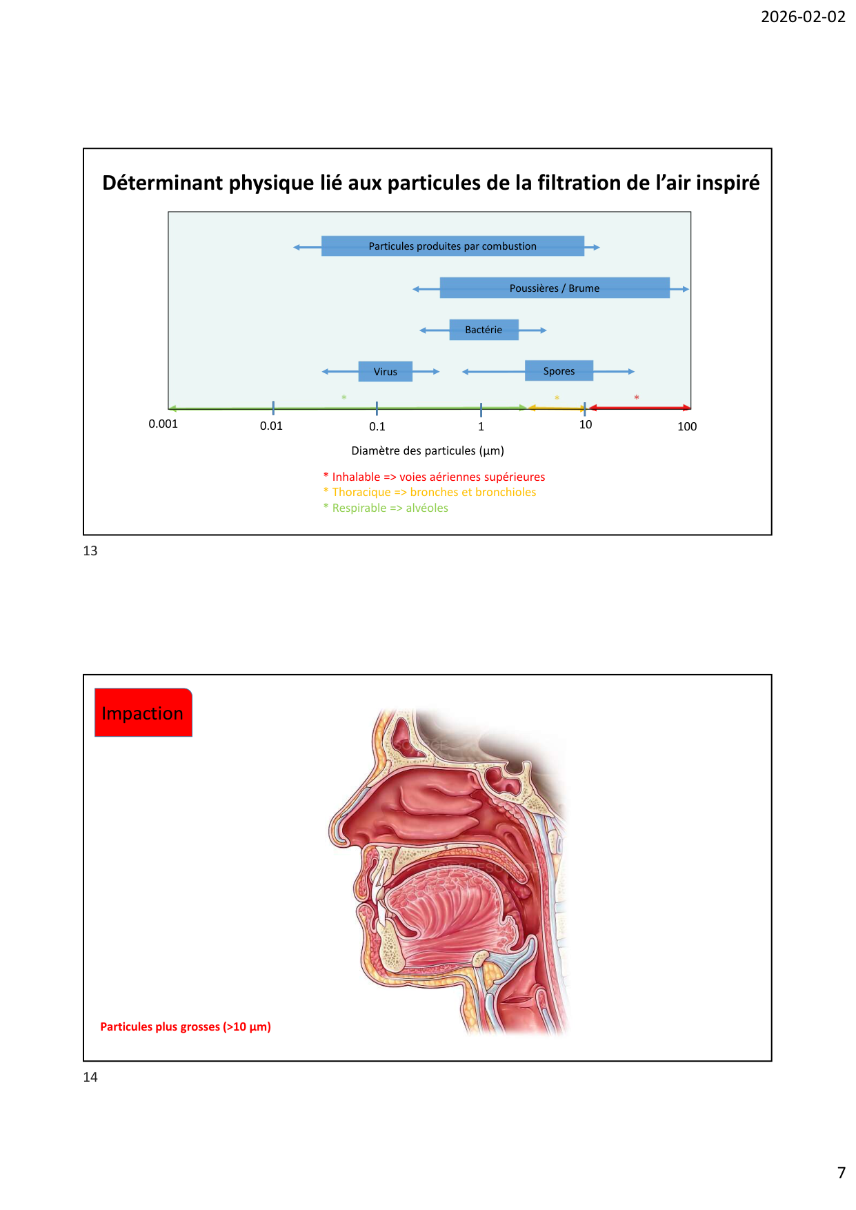 Défense pulmonaire page 7
