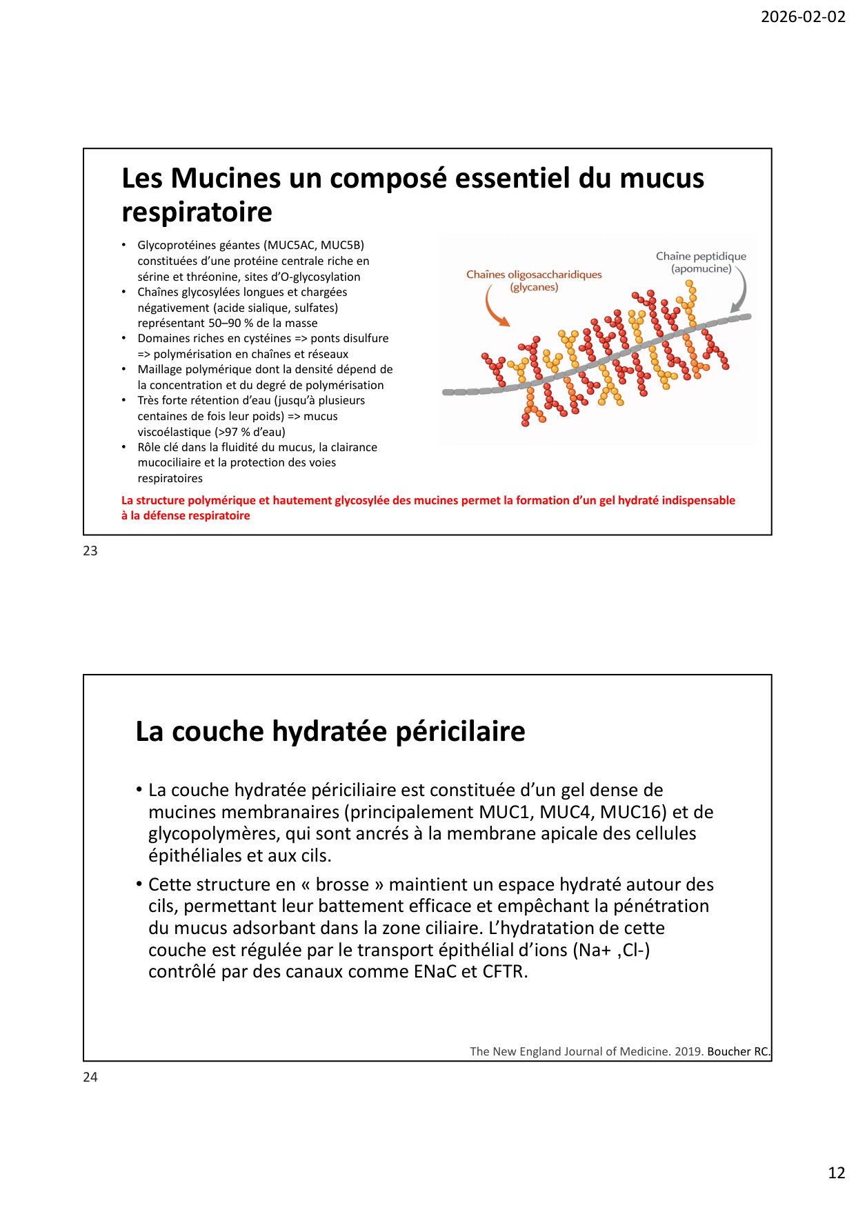 Défense pulmonaire page 12