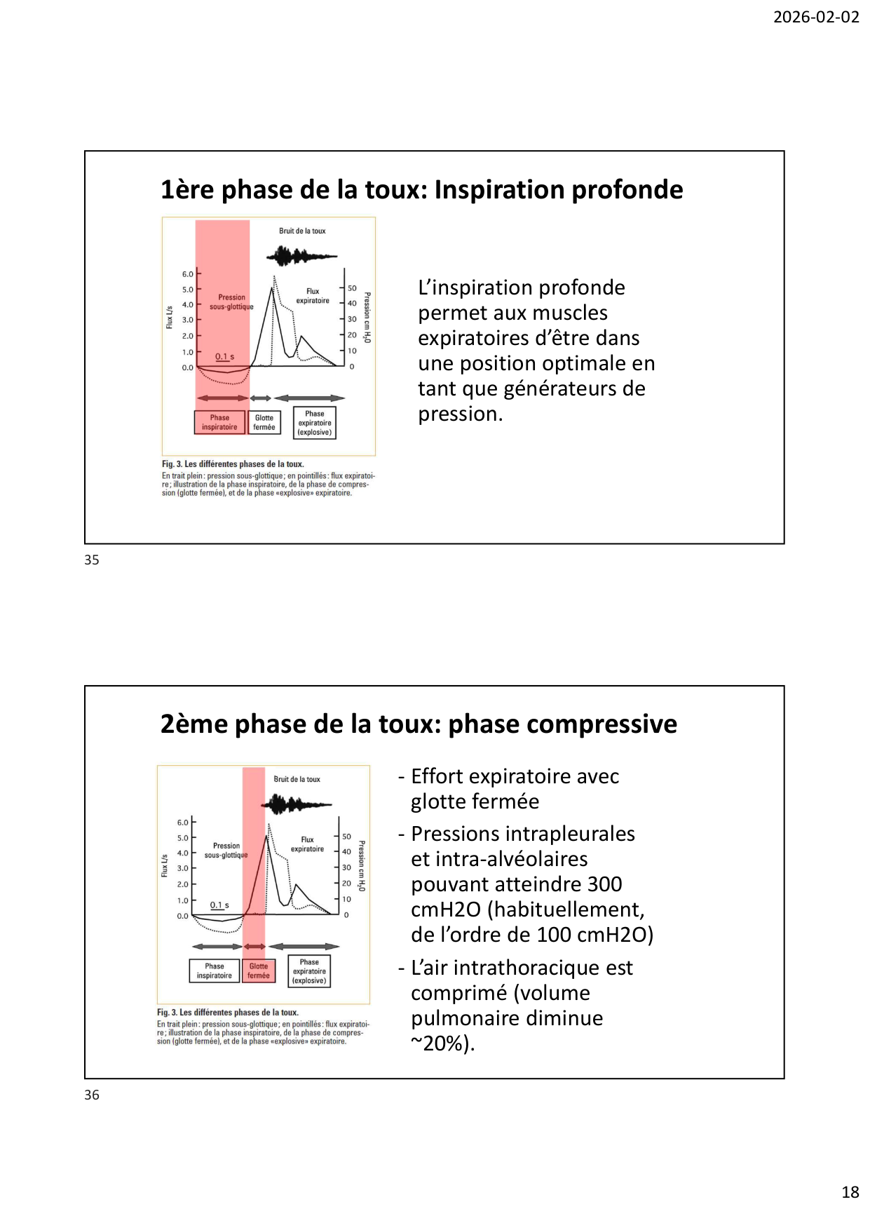 Défense pulmonaire page 18