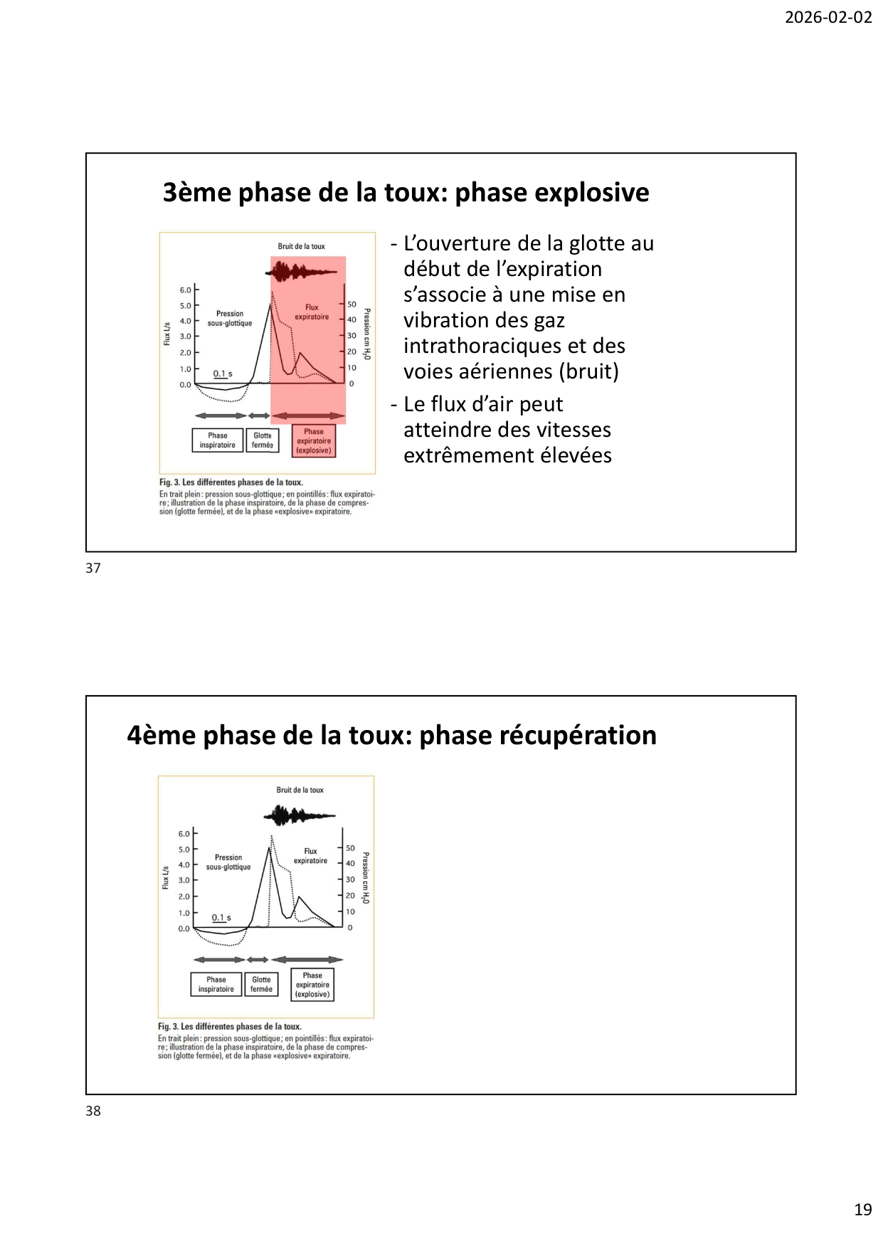 Défense pulmonaire page 19