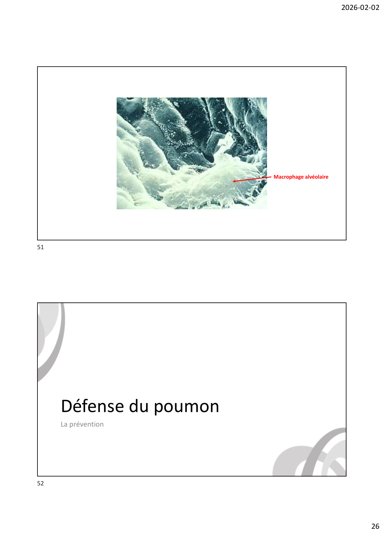 Défense pulmonaire page 26