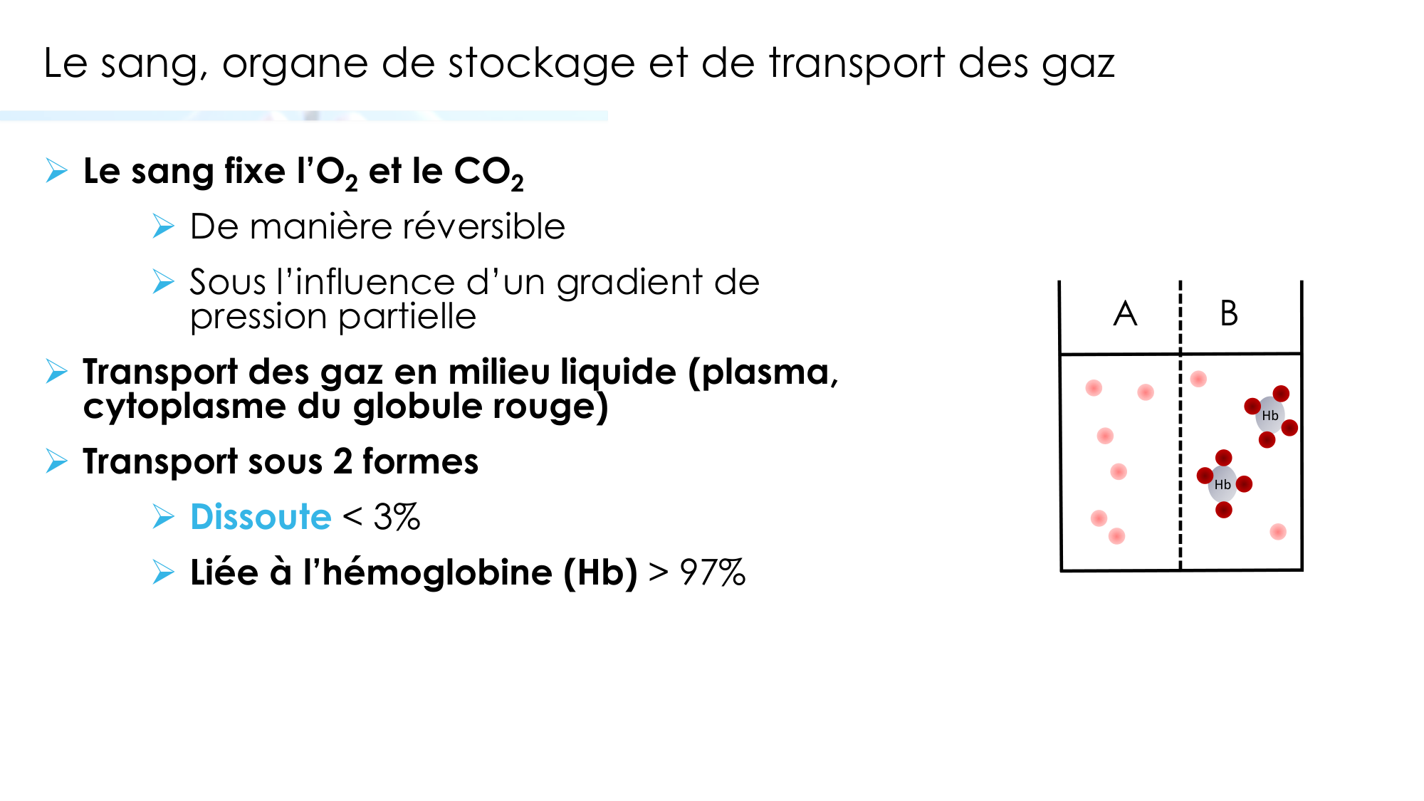 Transport des gaz sanguins page 4