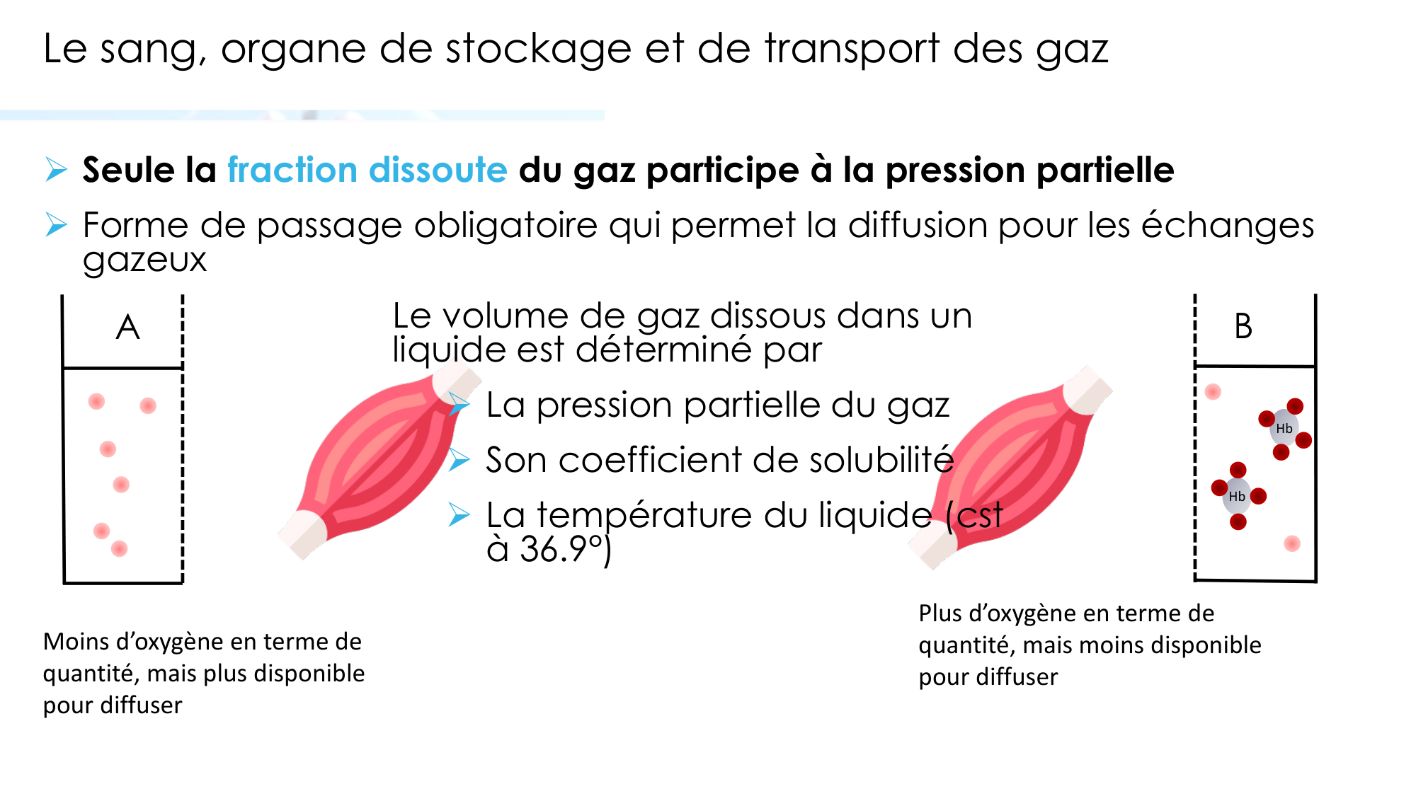 Transport des gaz sanguins page 5