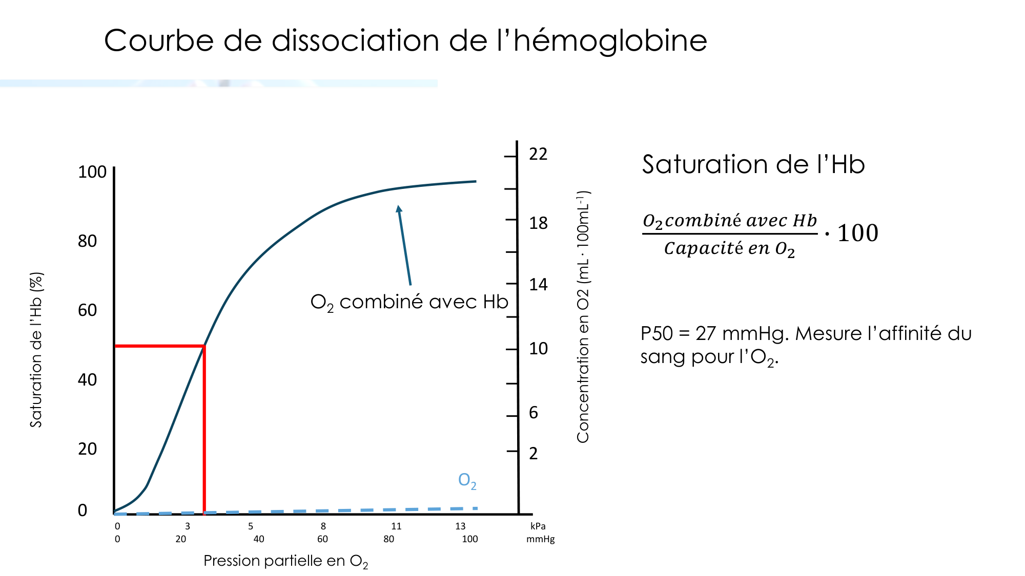 Transport des gaz sanguins page 8