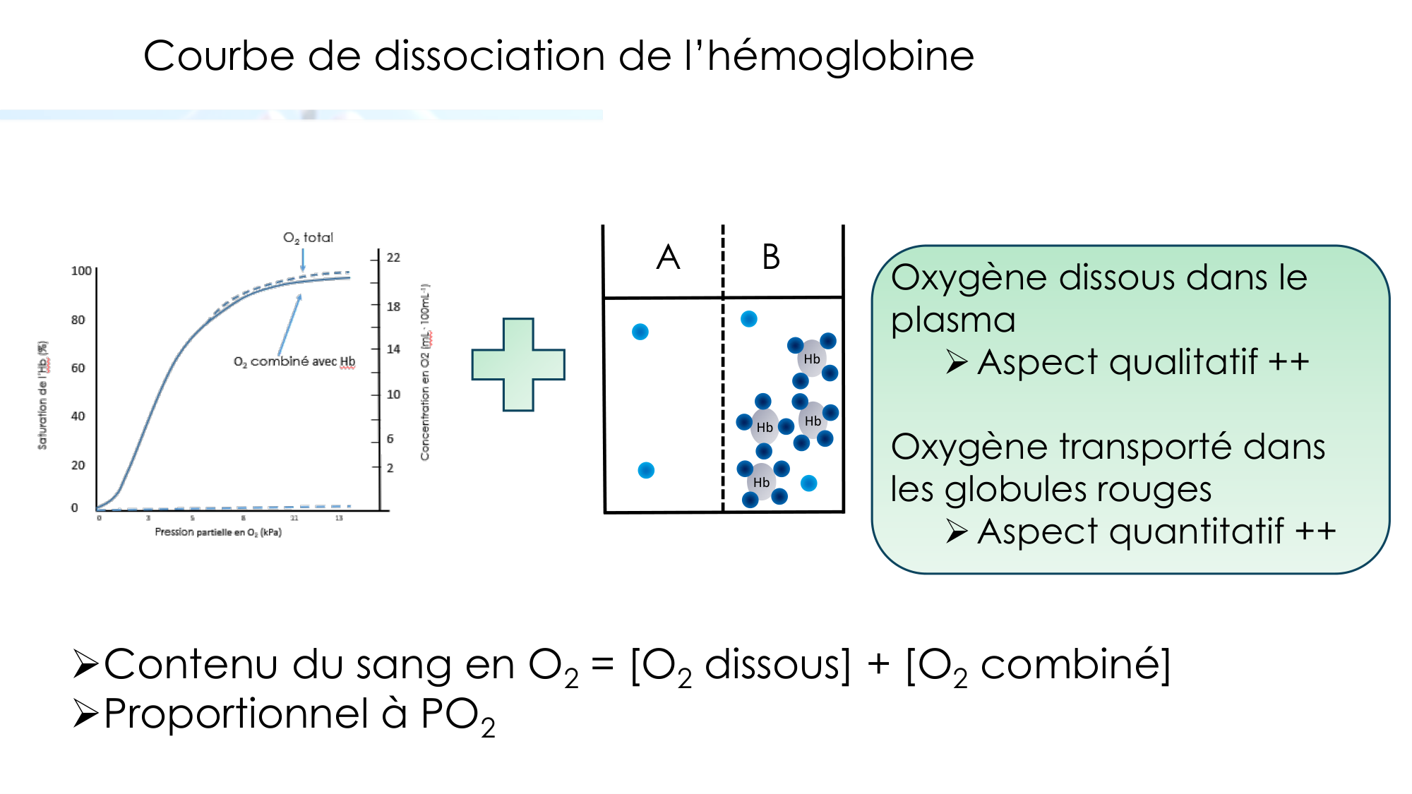 Transport des gaz sanguins page 10