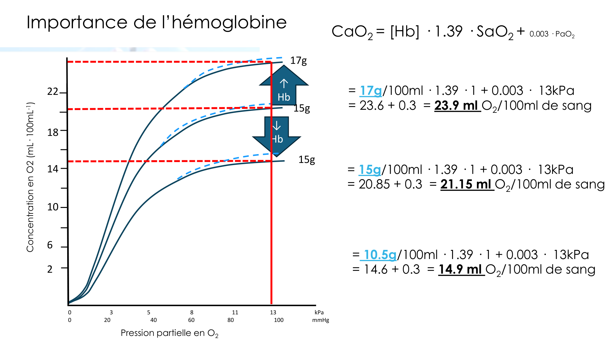 Transport des gaz sanguins page 12