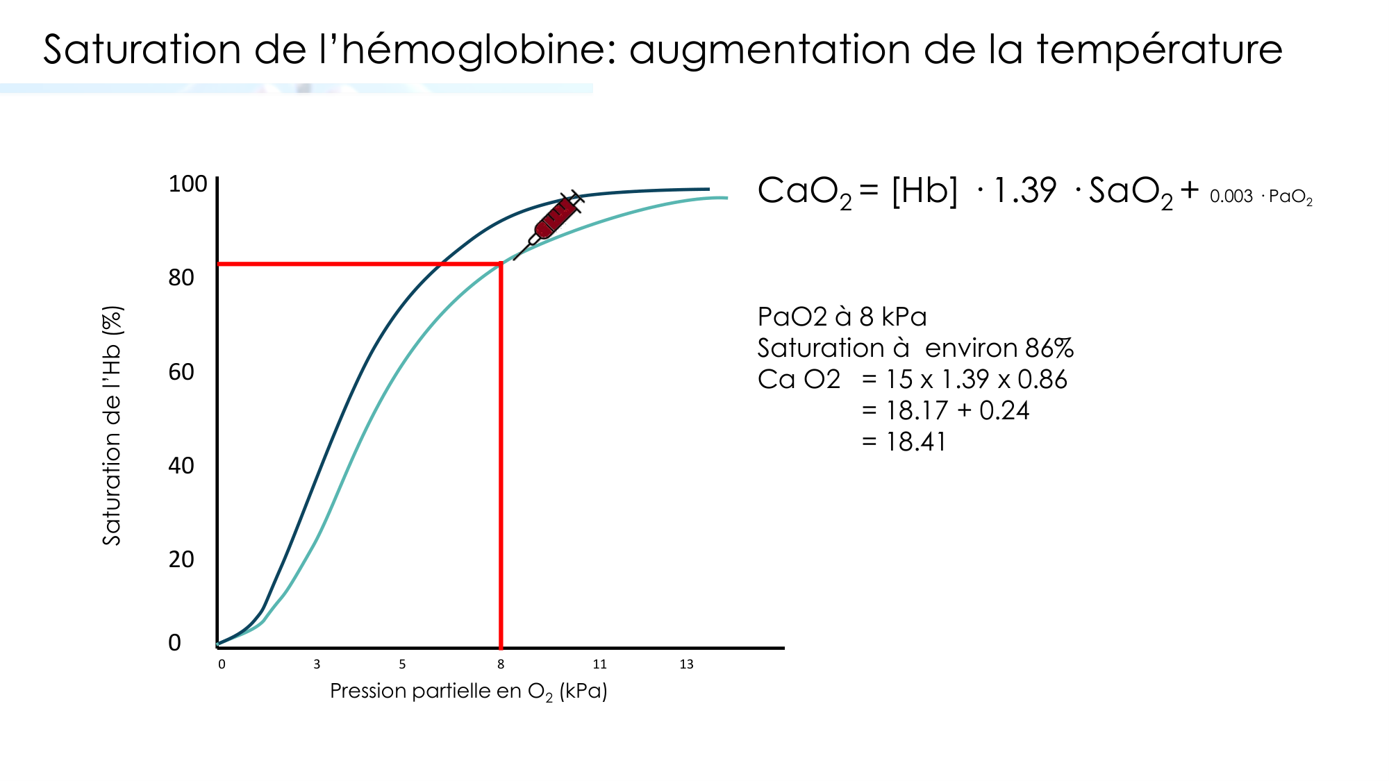 Transport des gaz sanguins page 21