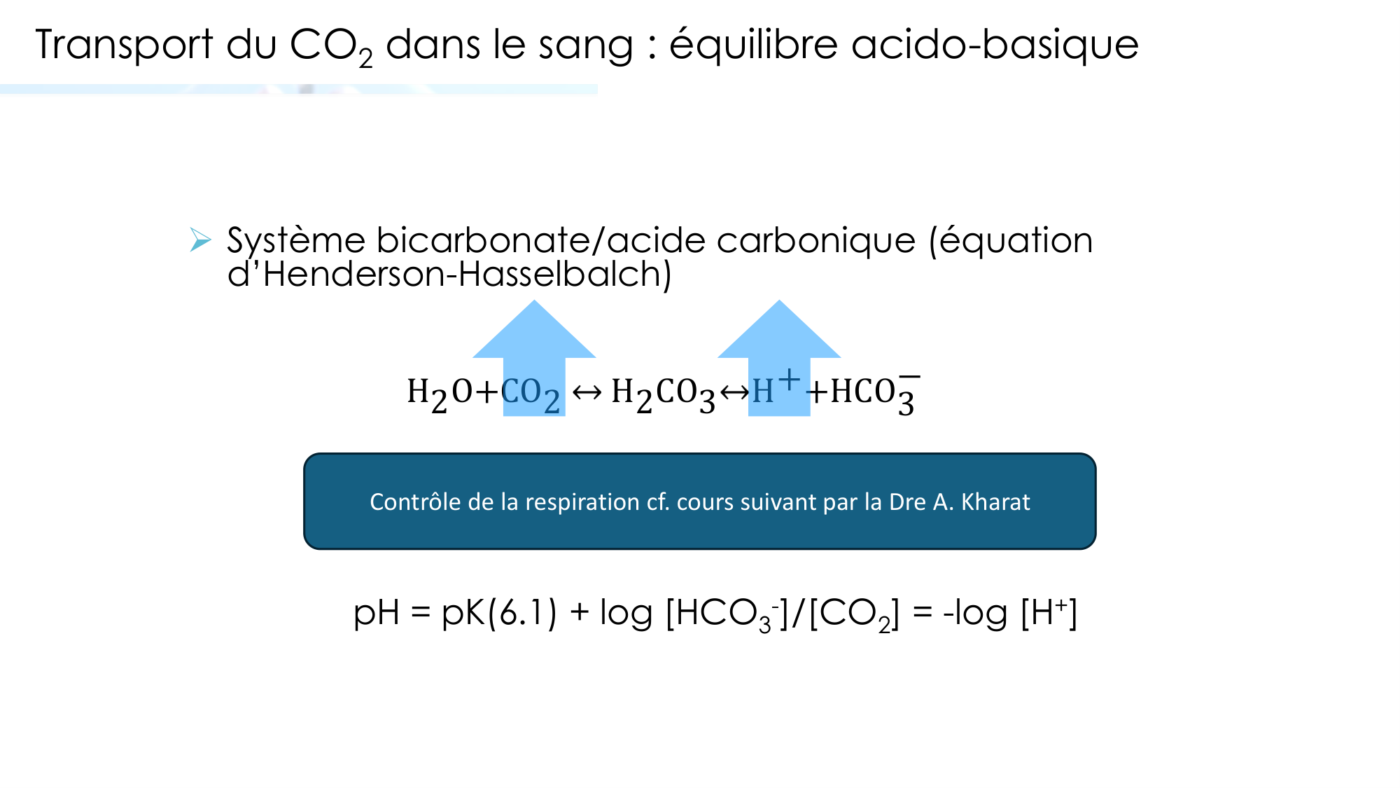 Transport des gaz sanguins page 24