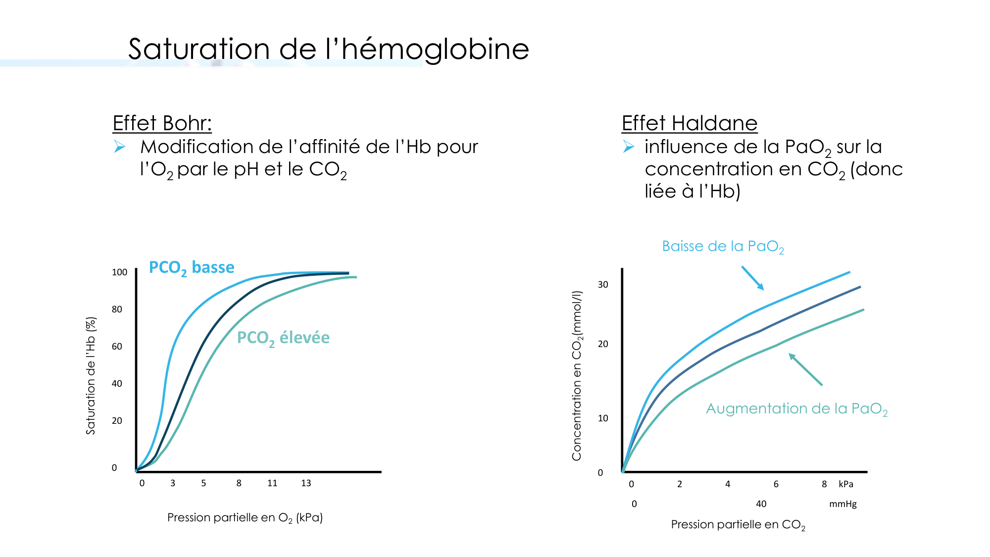 Transport des gaz sanguins page 29