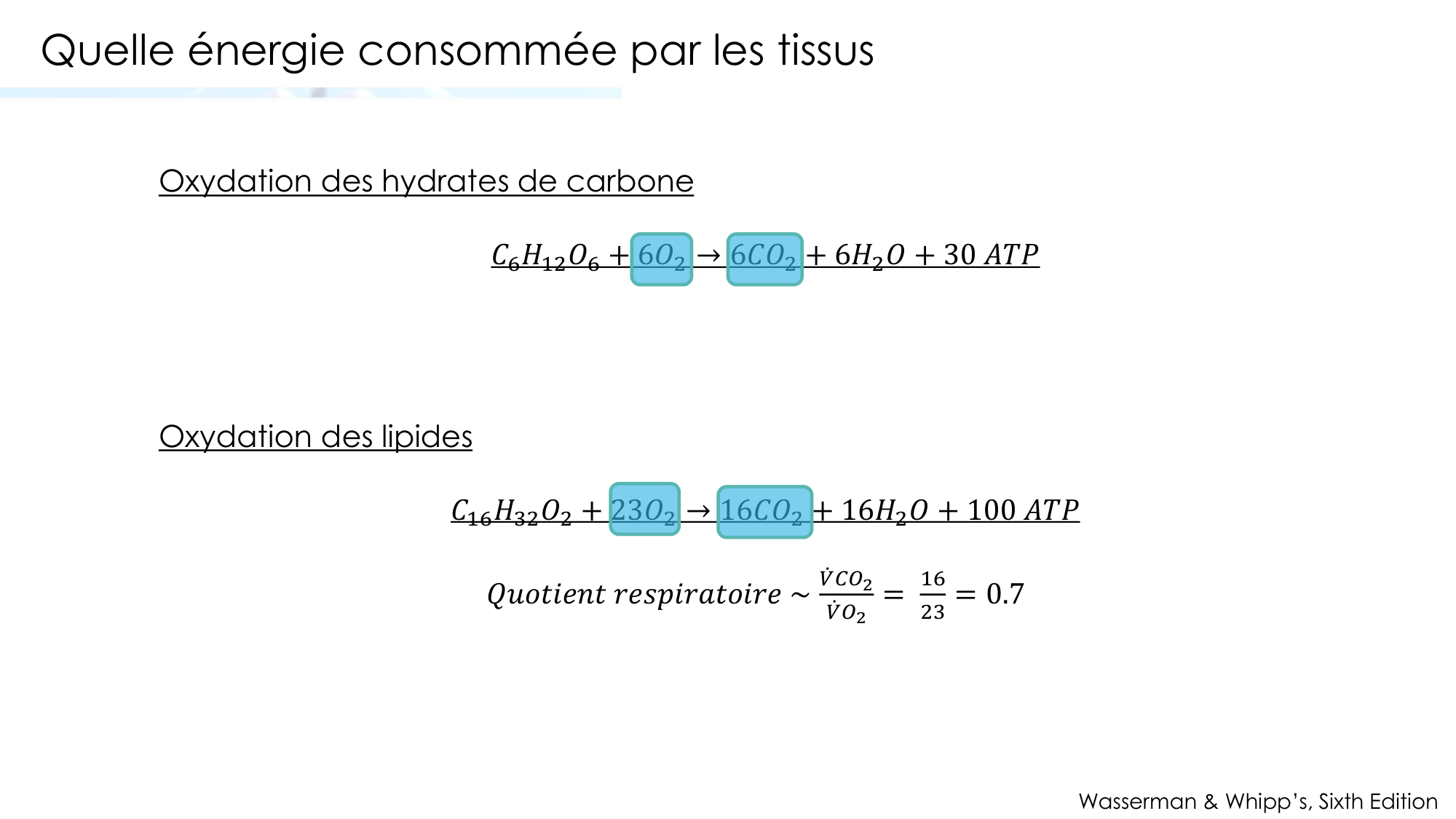 Transport des gaz sanguins page 33