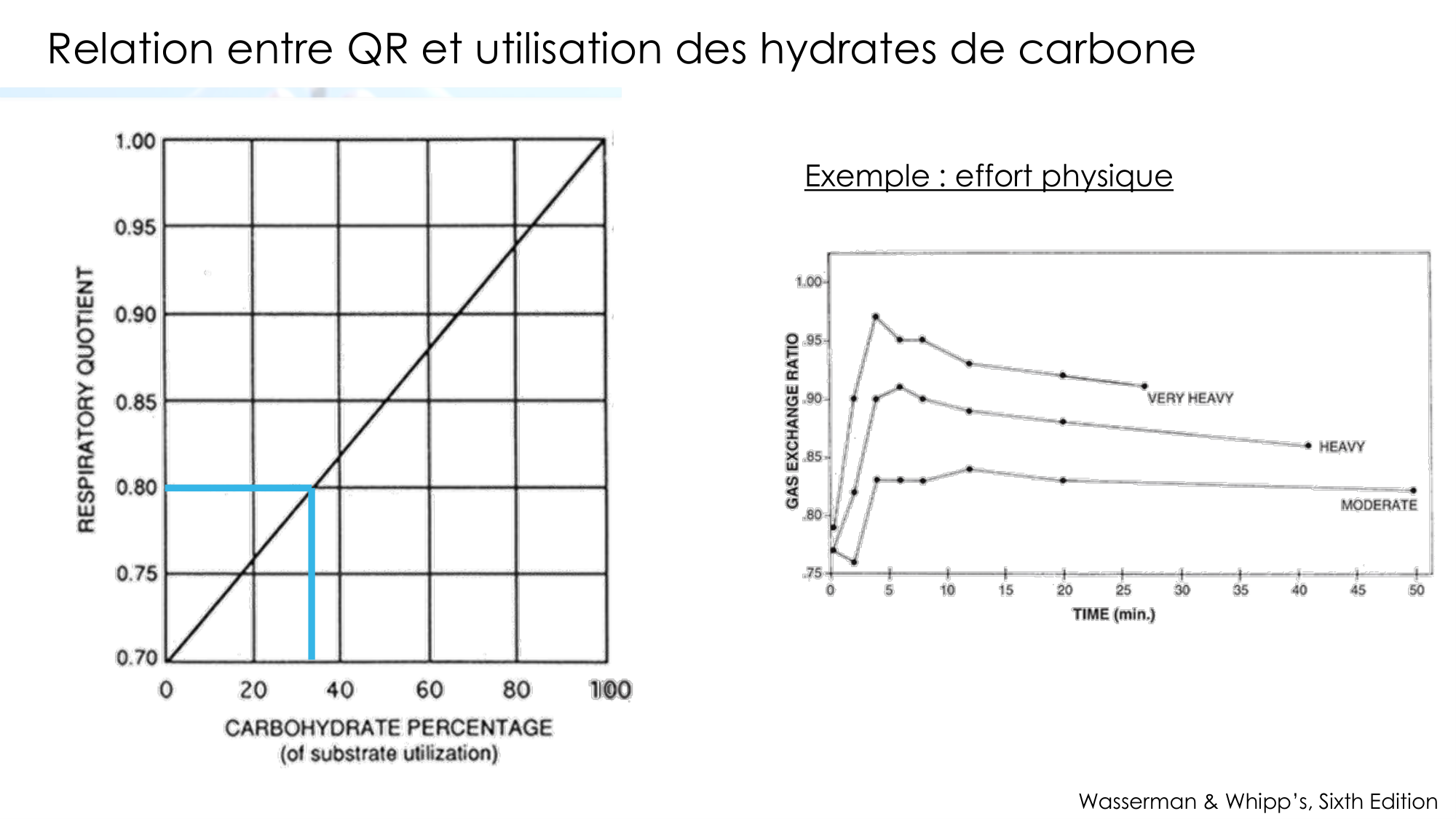 Transport des gaz sanguins page 34