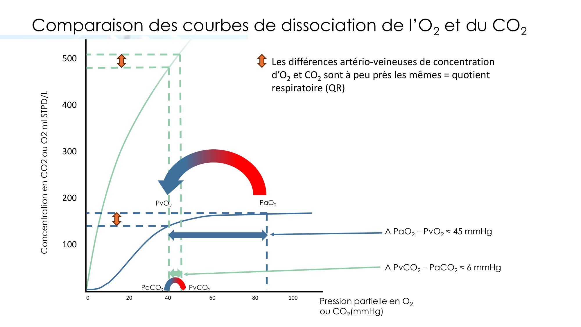 Transport des gaz sanguins page 35