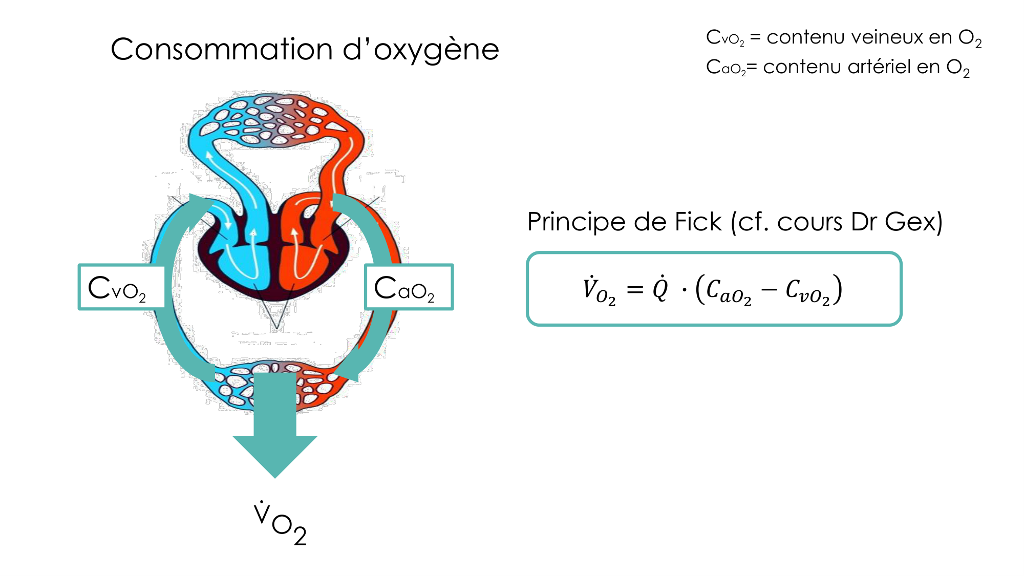 Transport des gaz sanguins page 37