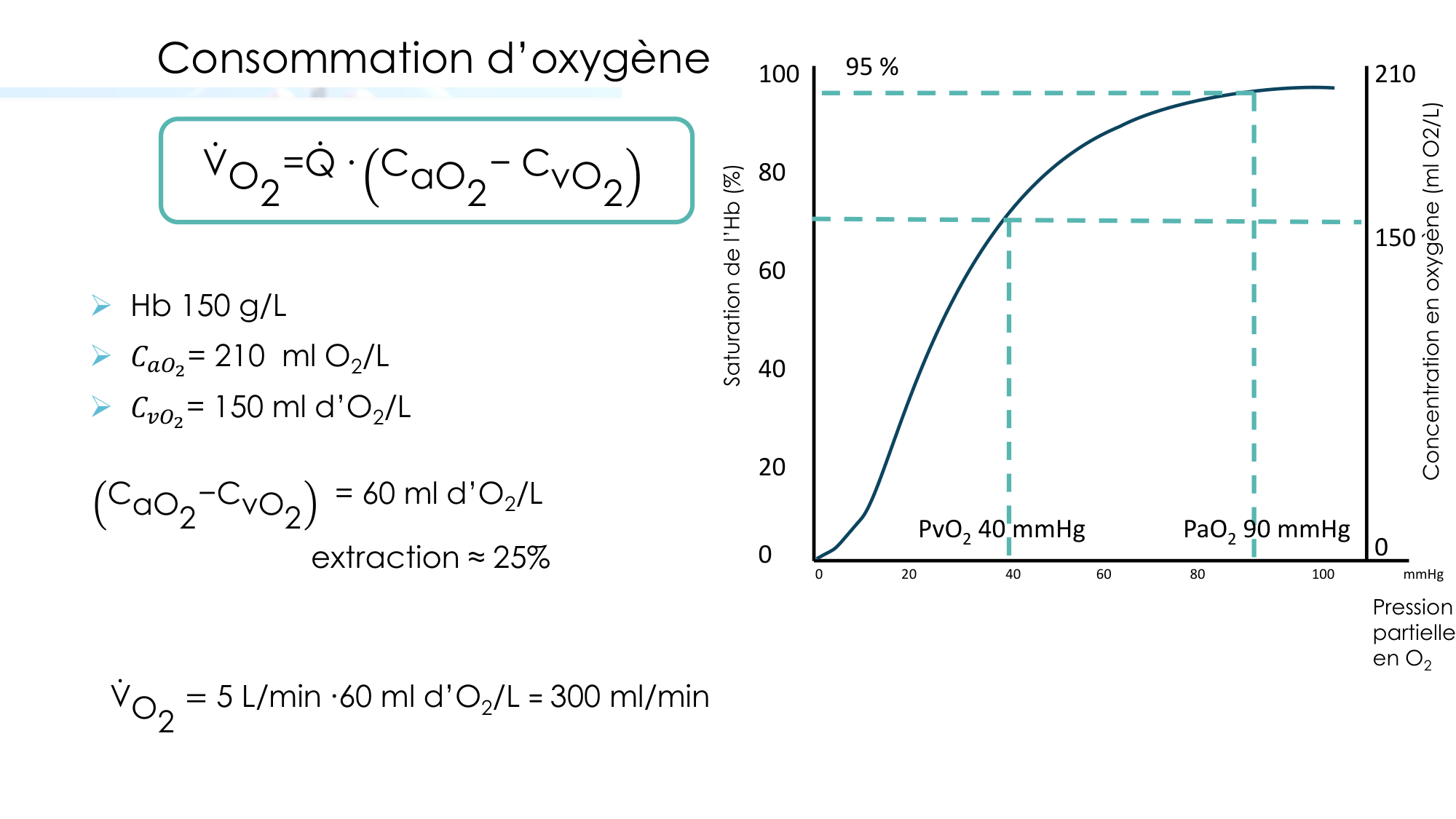 Transport des gaz sanguins page 38