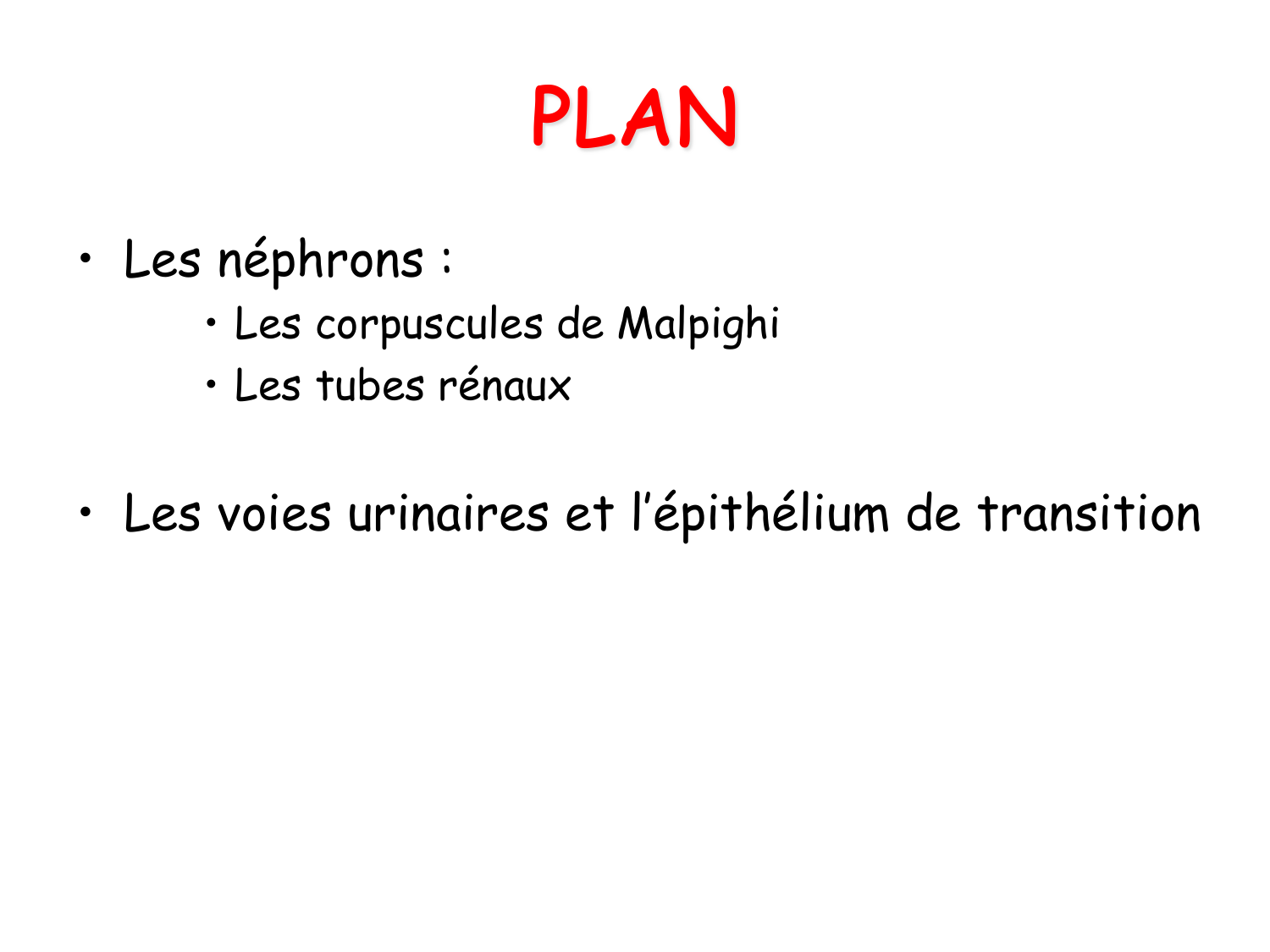 Histologie du système urinaire page 3