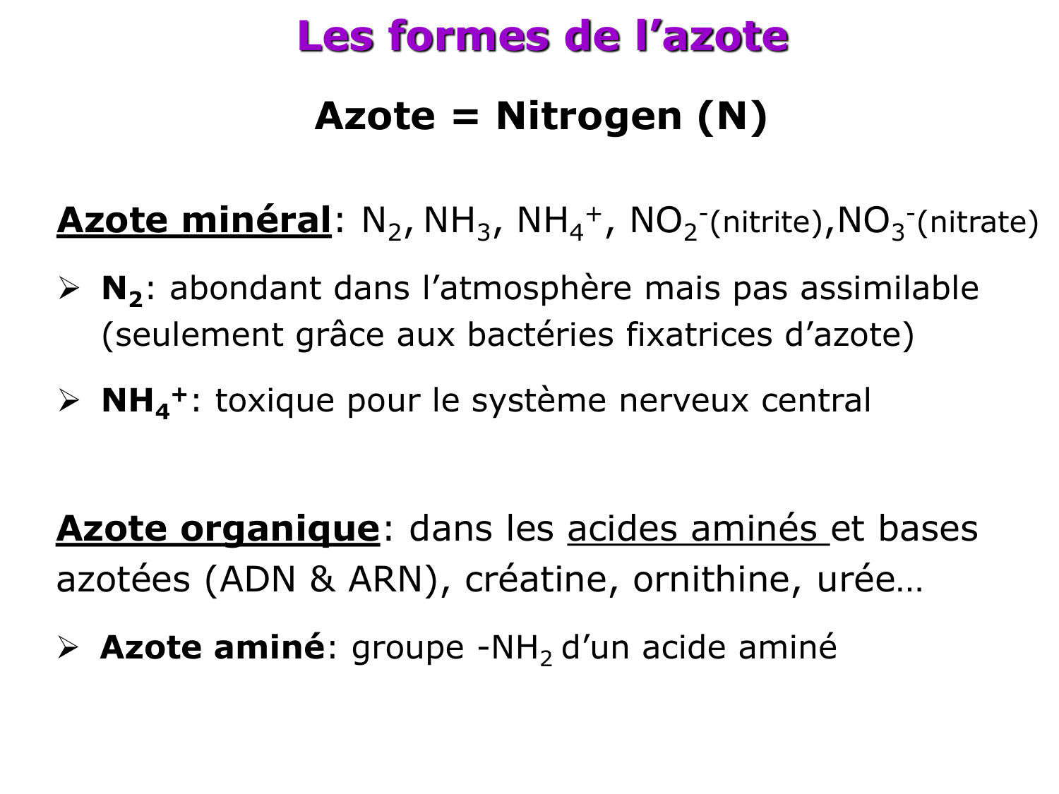Métabolisme de l’azote page 3