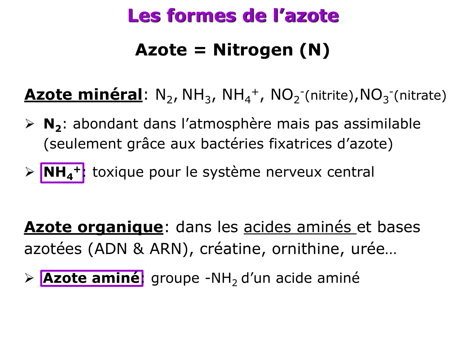 Métabolisme de l’azote page 5