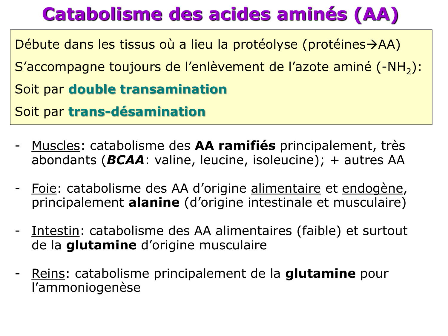Métabolisme de l’azote page 11