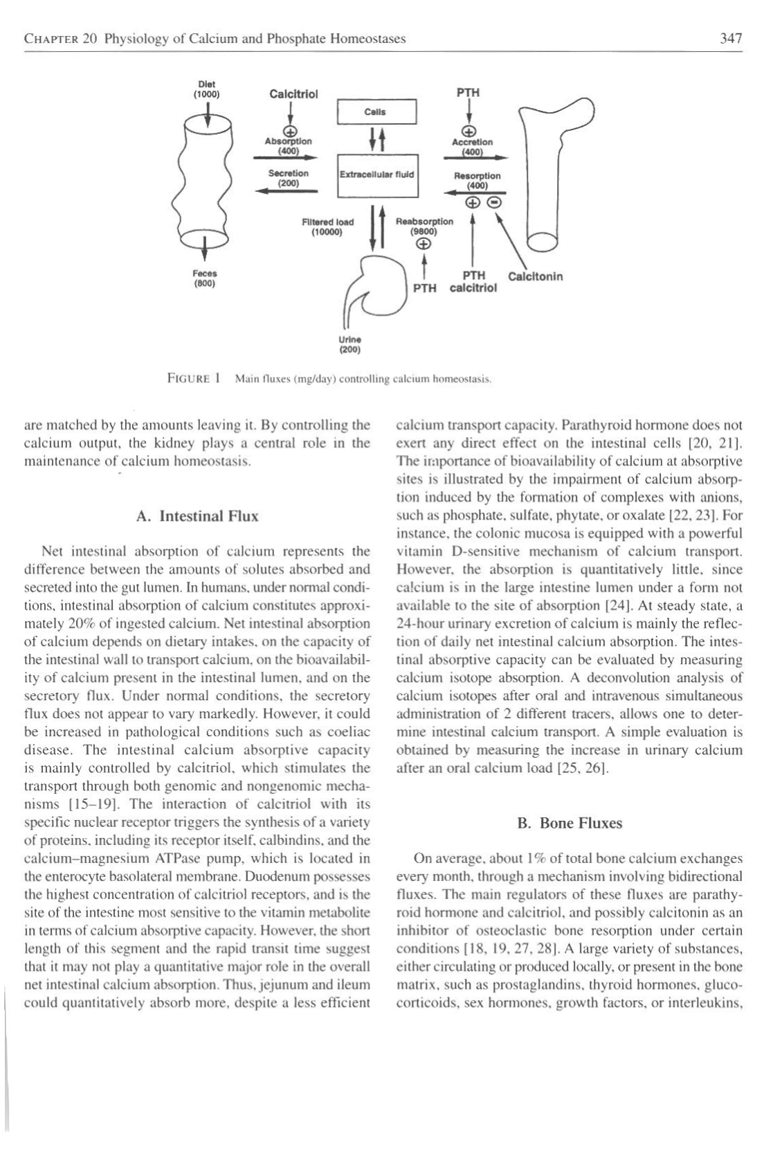 Physiologie calcium-phosphate page 3