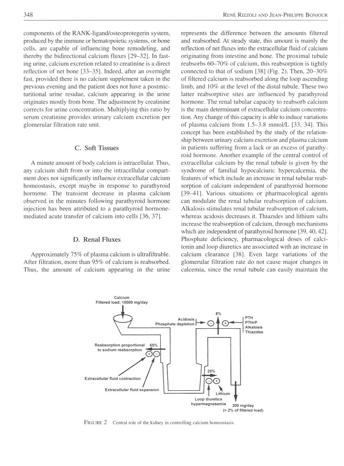 Physiologie calcium-phosphate page 4