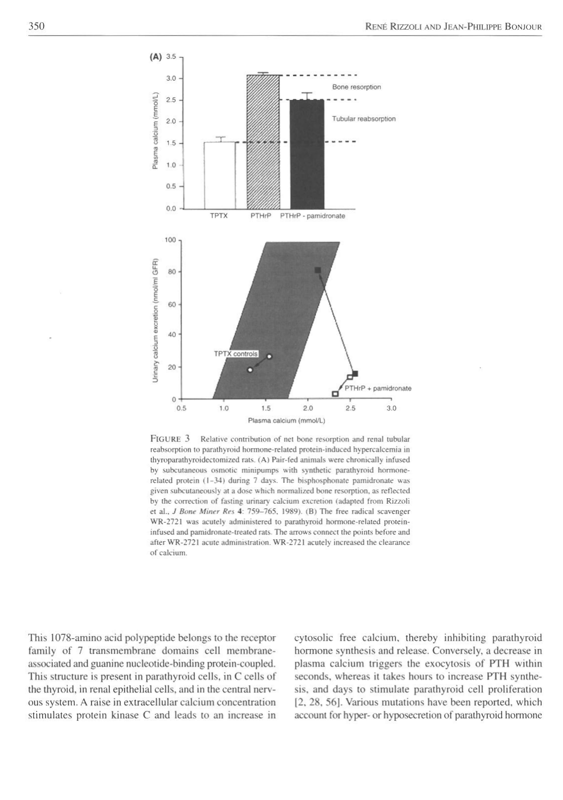 Physiologie calcium-phosphate page 6
