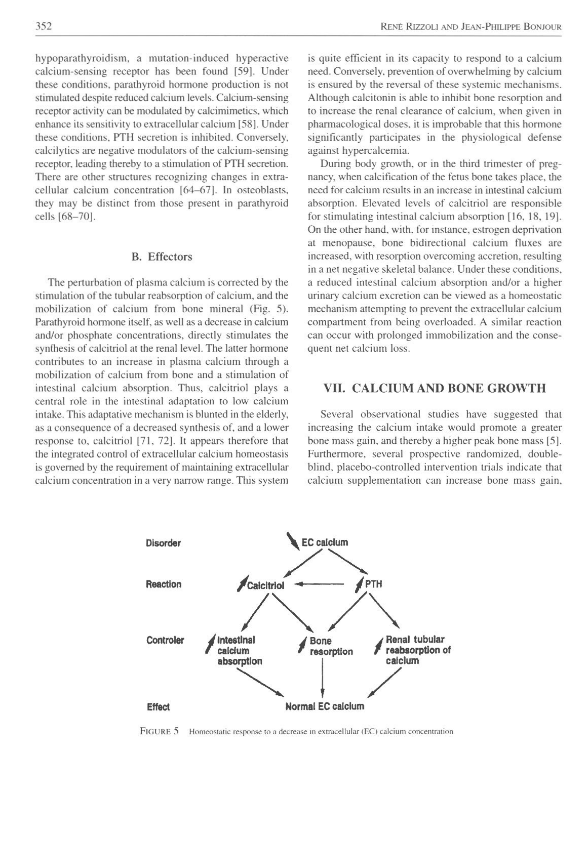 Physiologie calcium-phosphate page 8