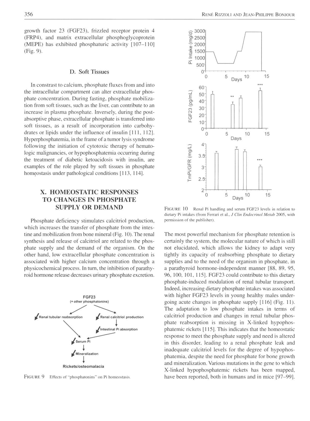 Physiologie calcium-phosphate page 12