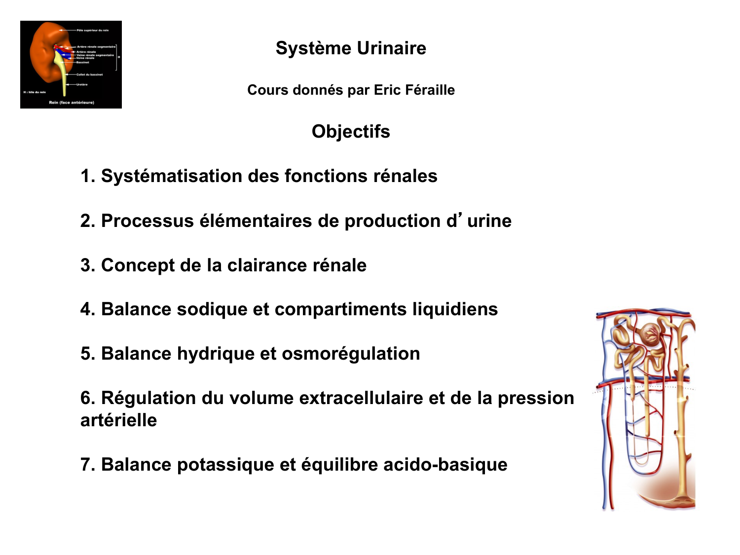Système urinaire — introduction page 1