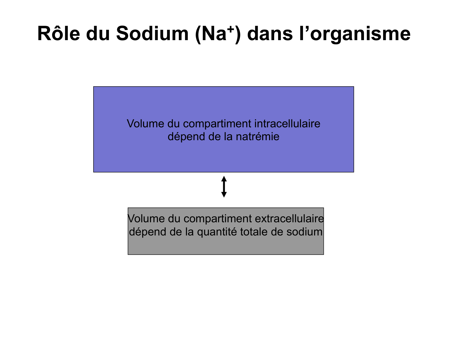 Système urinaire — introduction page 34