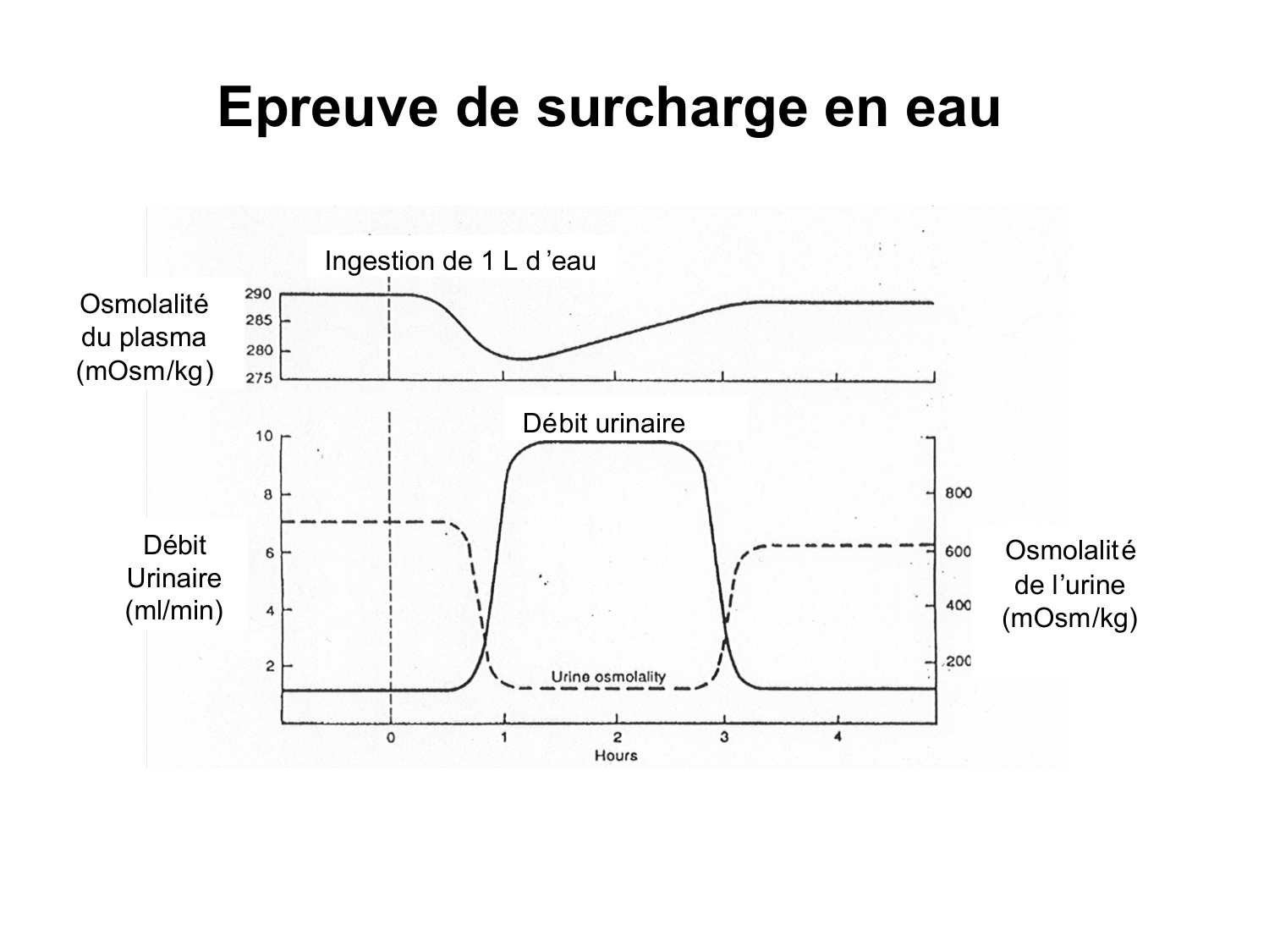 Système urinaire — introduction page 49