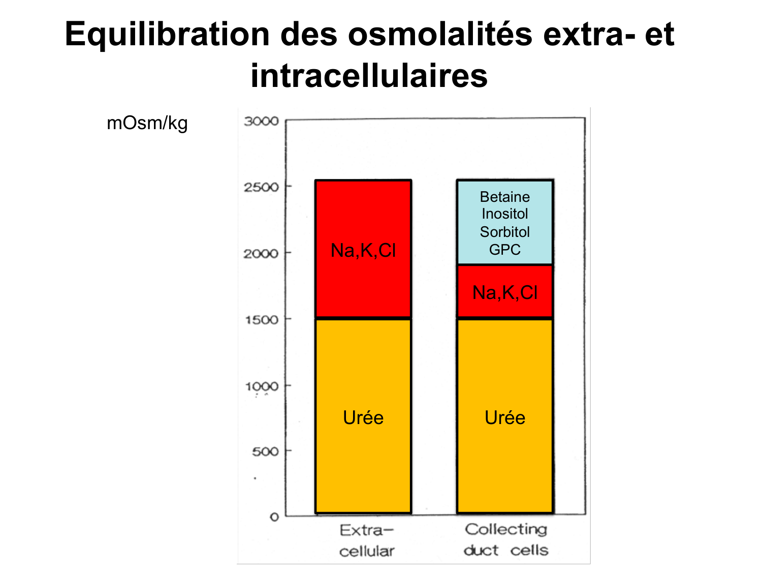 Système urinaire — introduction page 62
