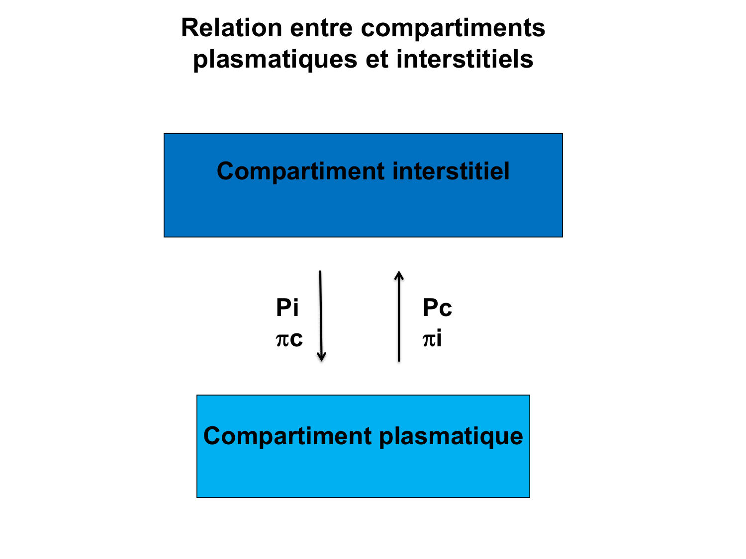Système urinaire — introduction page 73