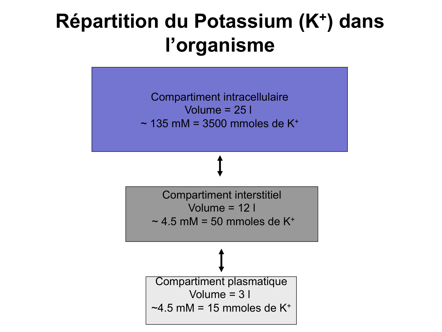 Système urinaire — introduction page 76