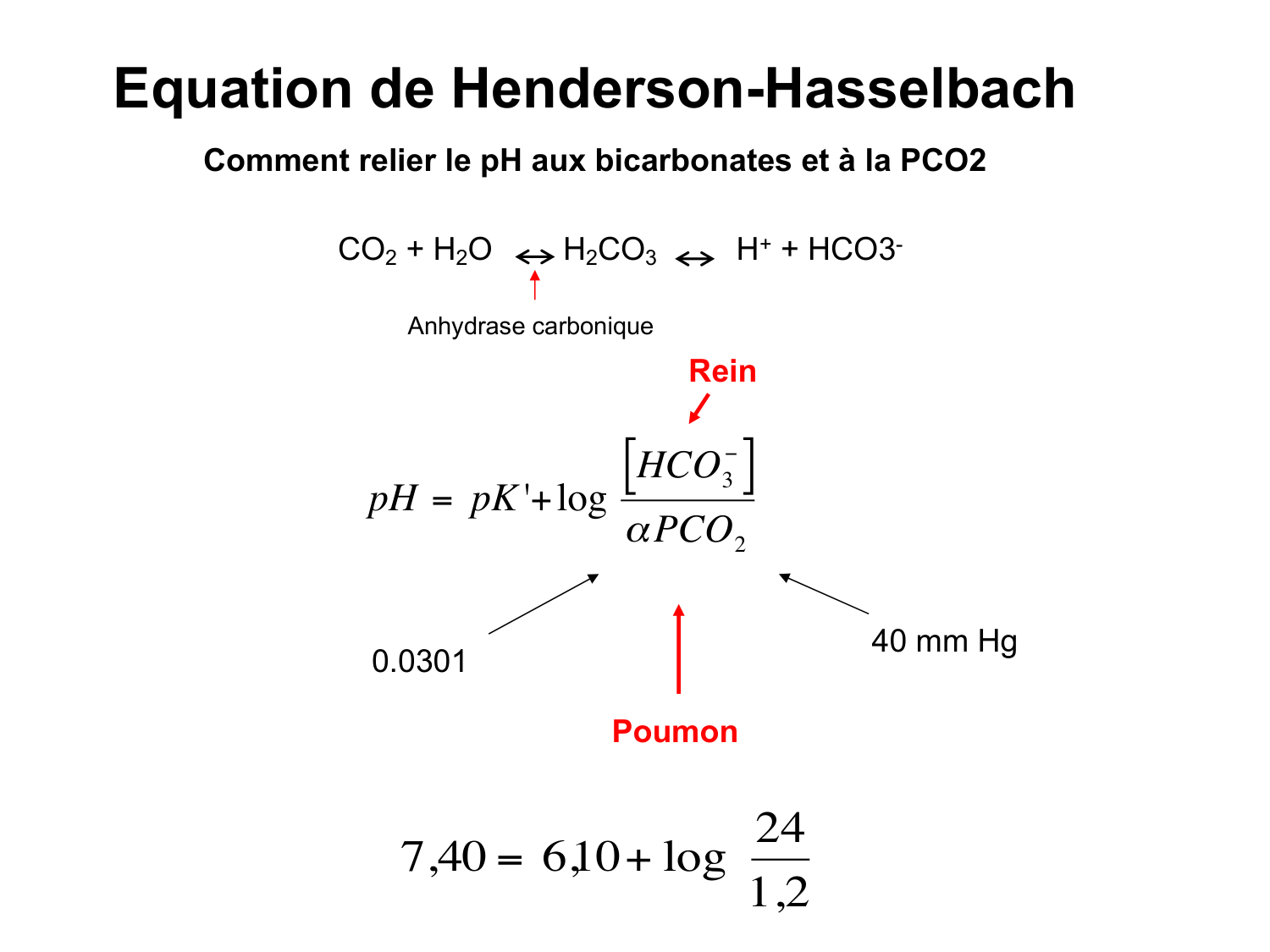 Système urinaire — introduction page 87