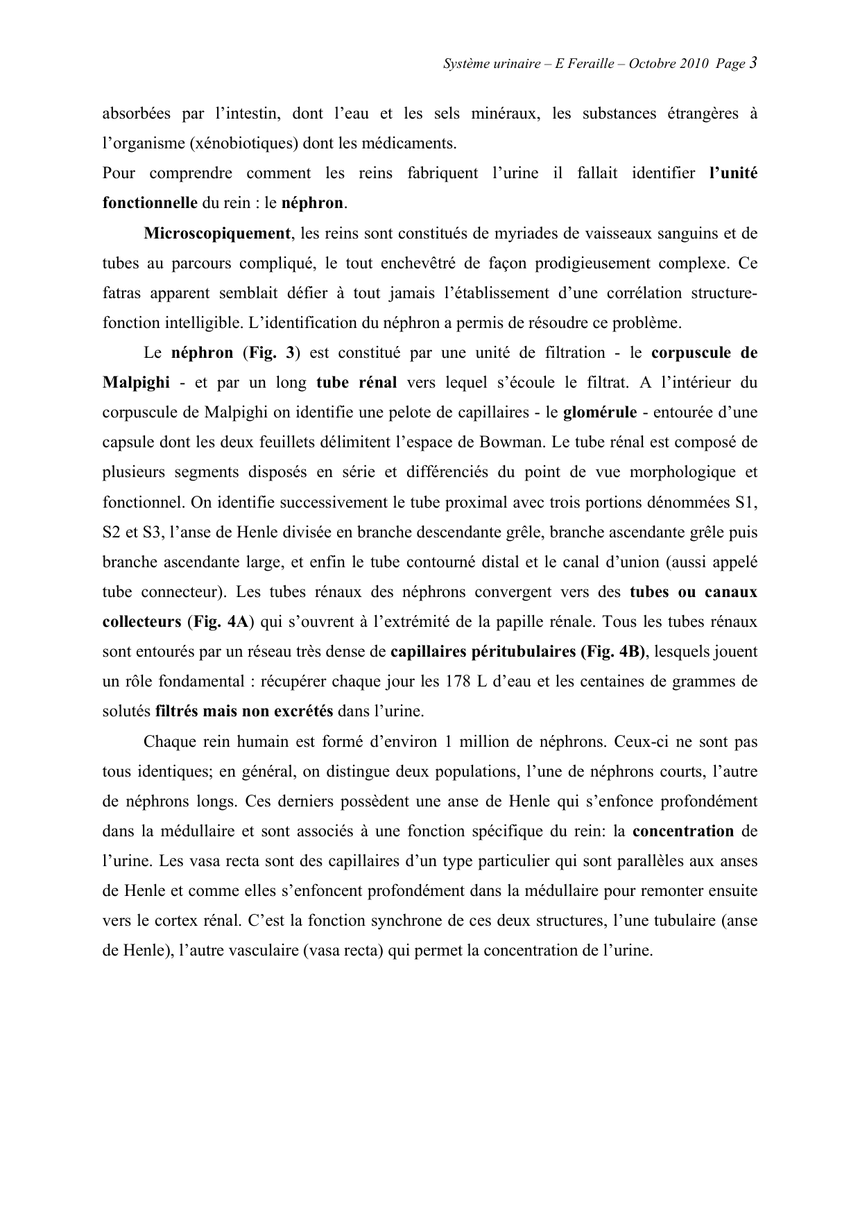 Système urinaire — ancien polycopié page 3