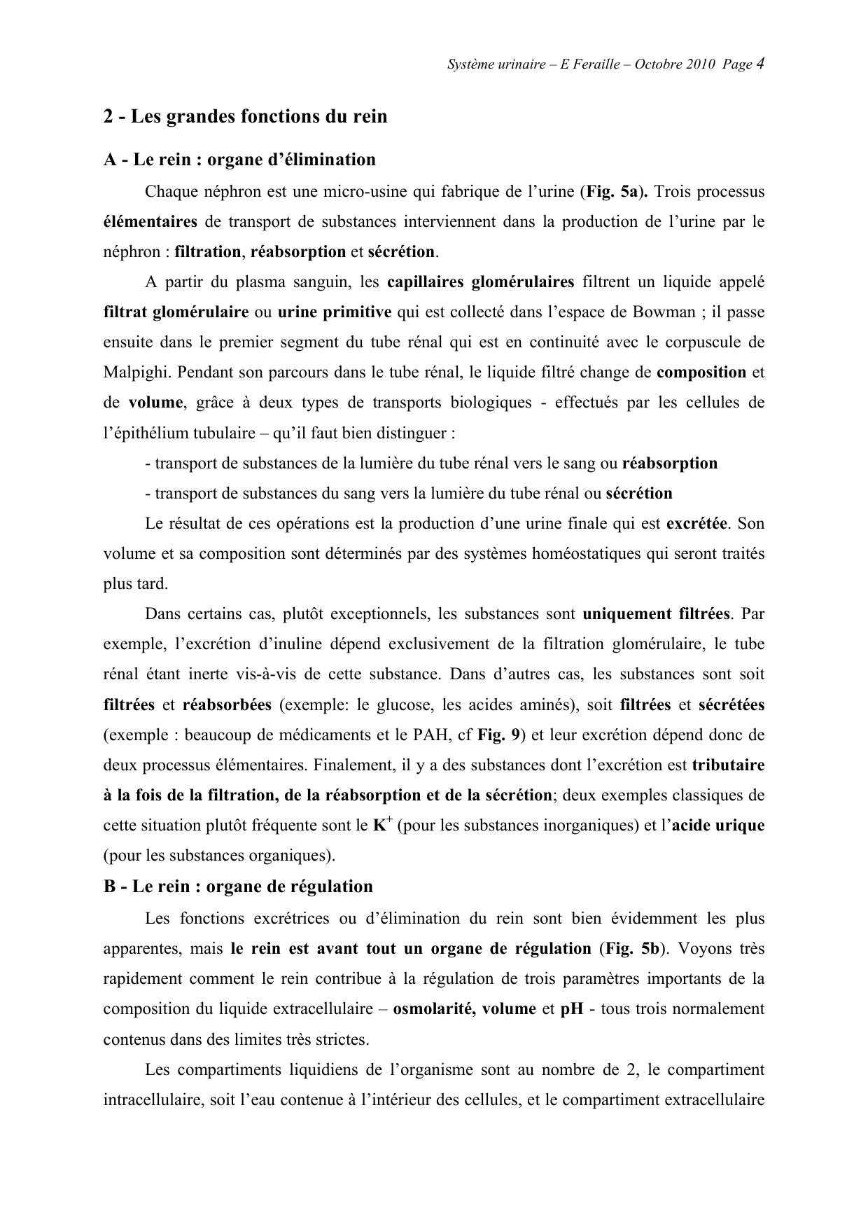 Système urinaire — ancien polycopié page 4