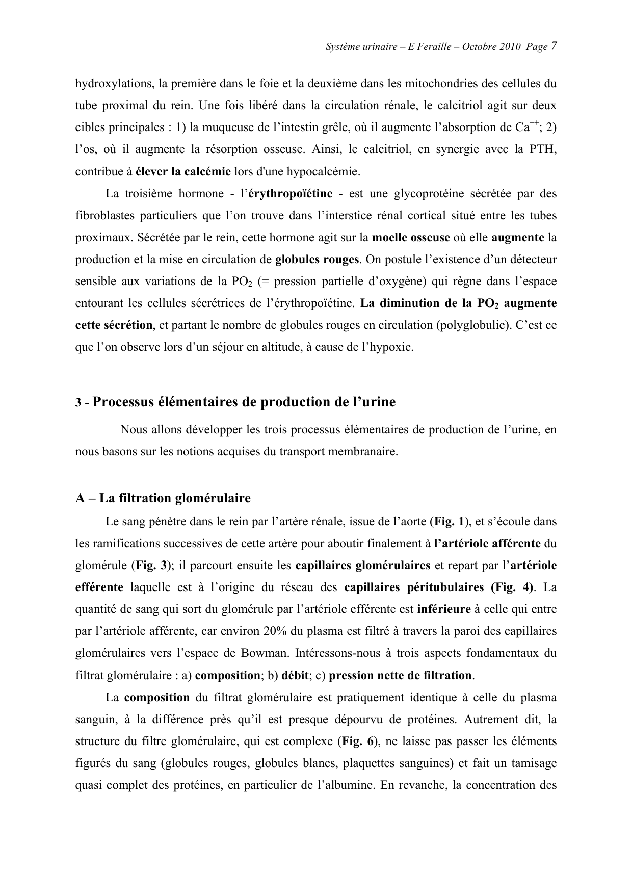 Système urinaire — ancien polycopié page 7