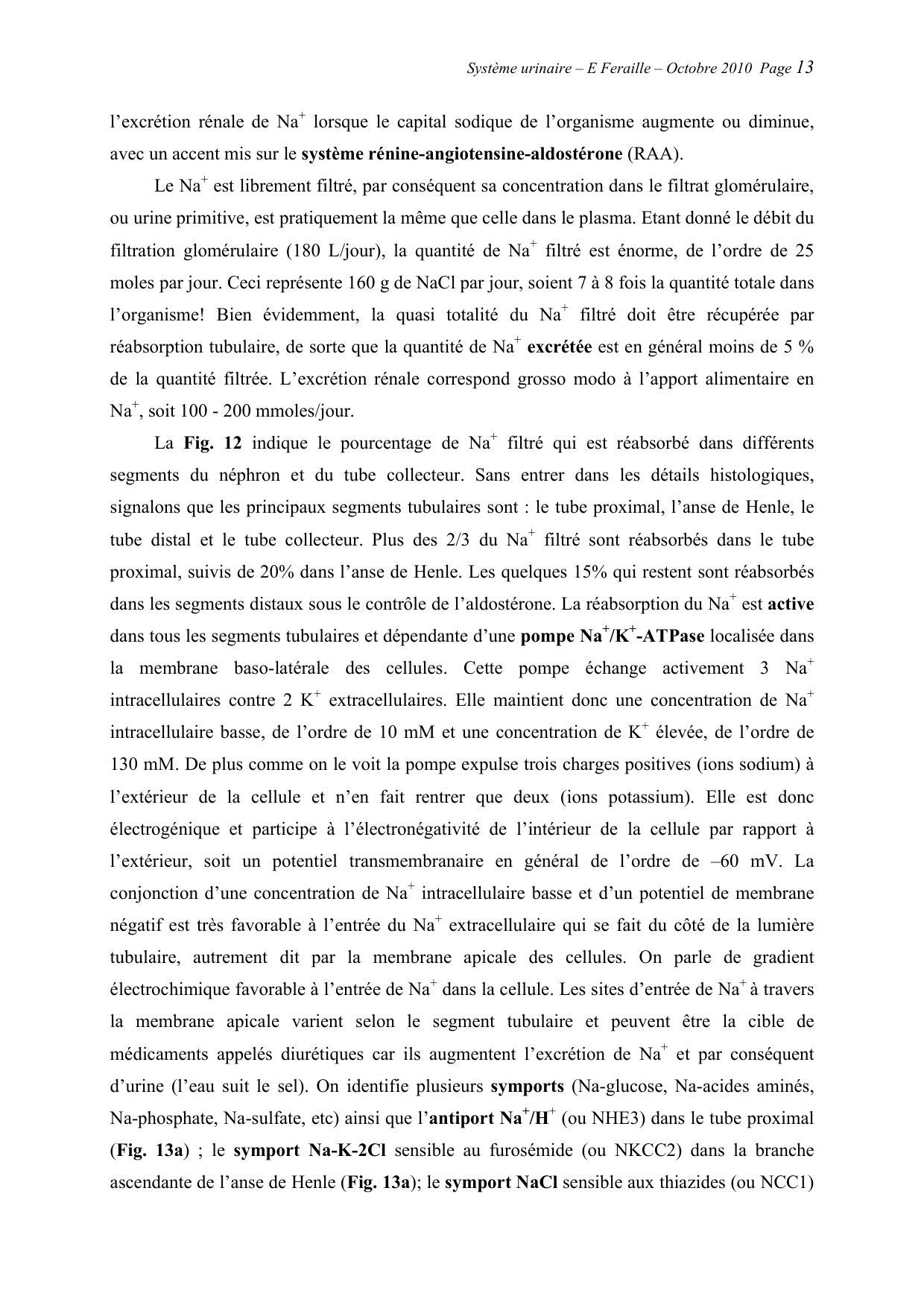 Système urinaire — ancien polycopié page 13