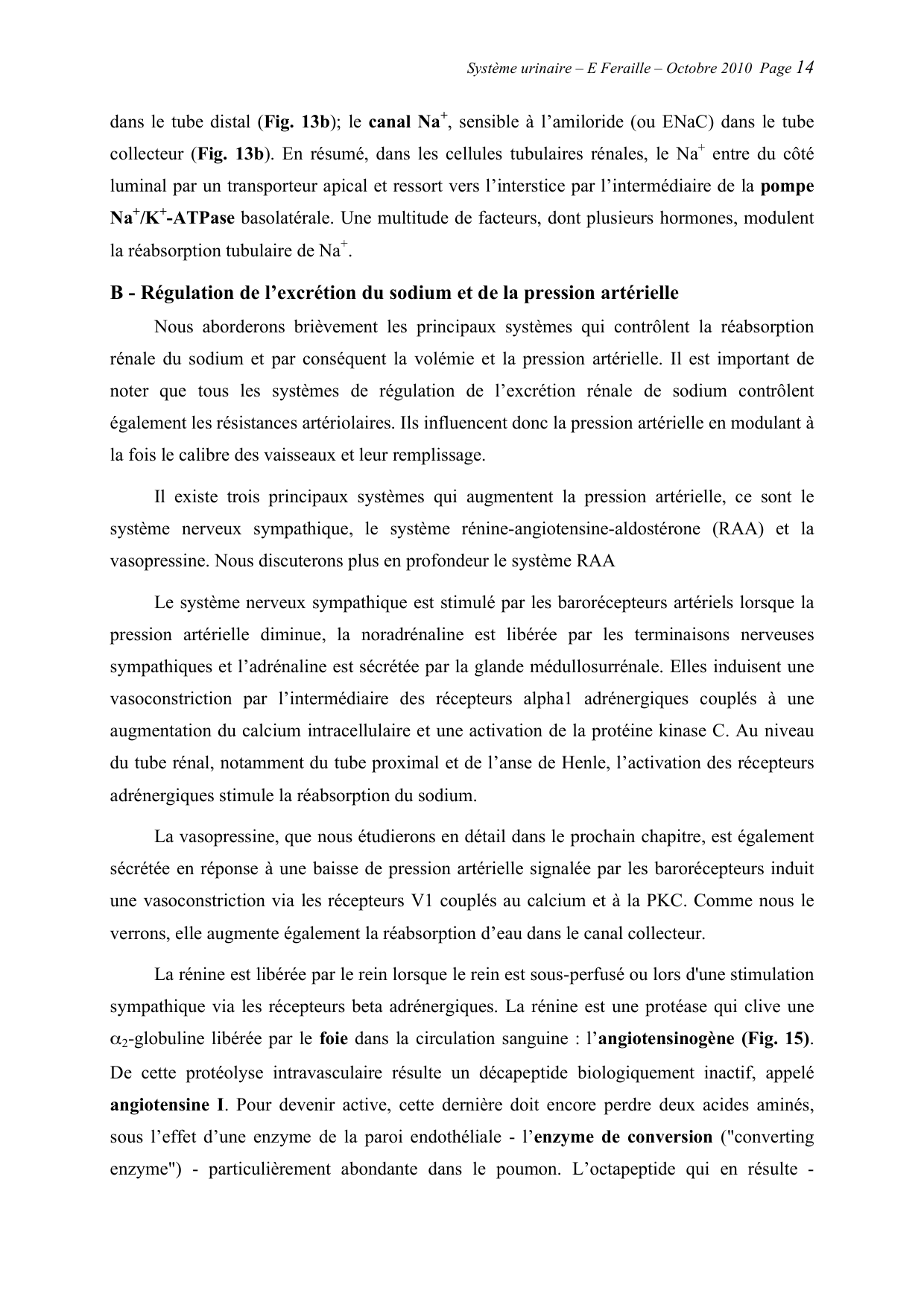 Système urinaire — ancien polycopié page 14