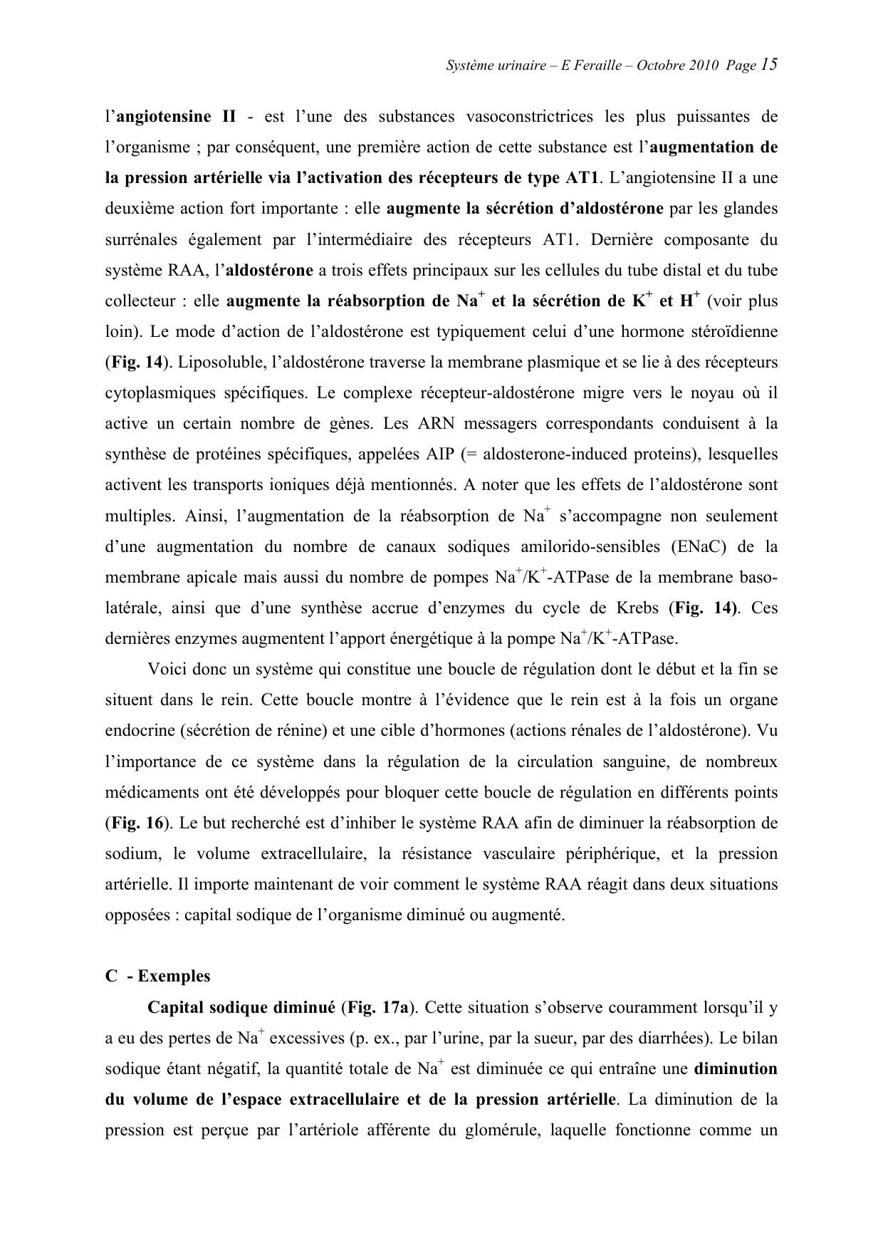 Système urinaire — ancien polycopié page 15