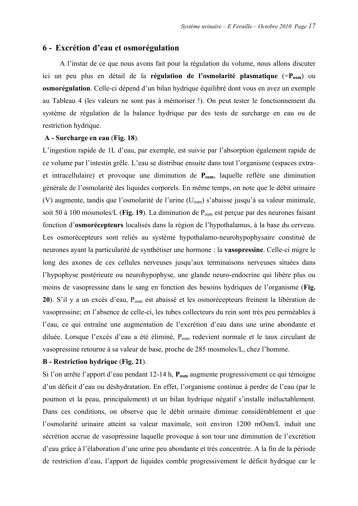 Système urinaire — ancien polycopié page 17