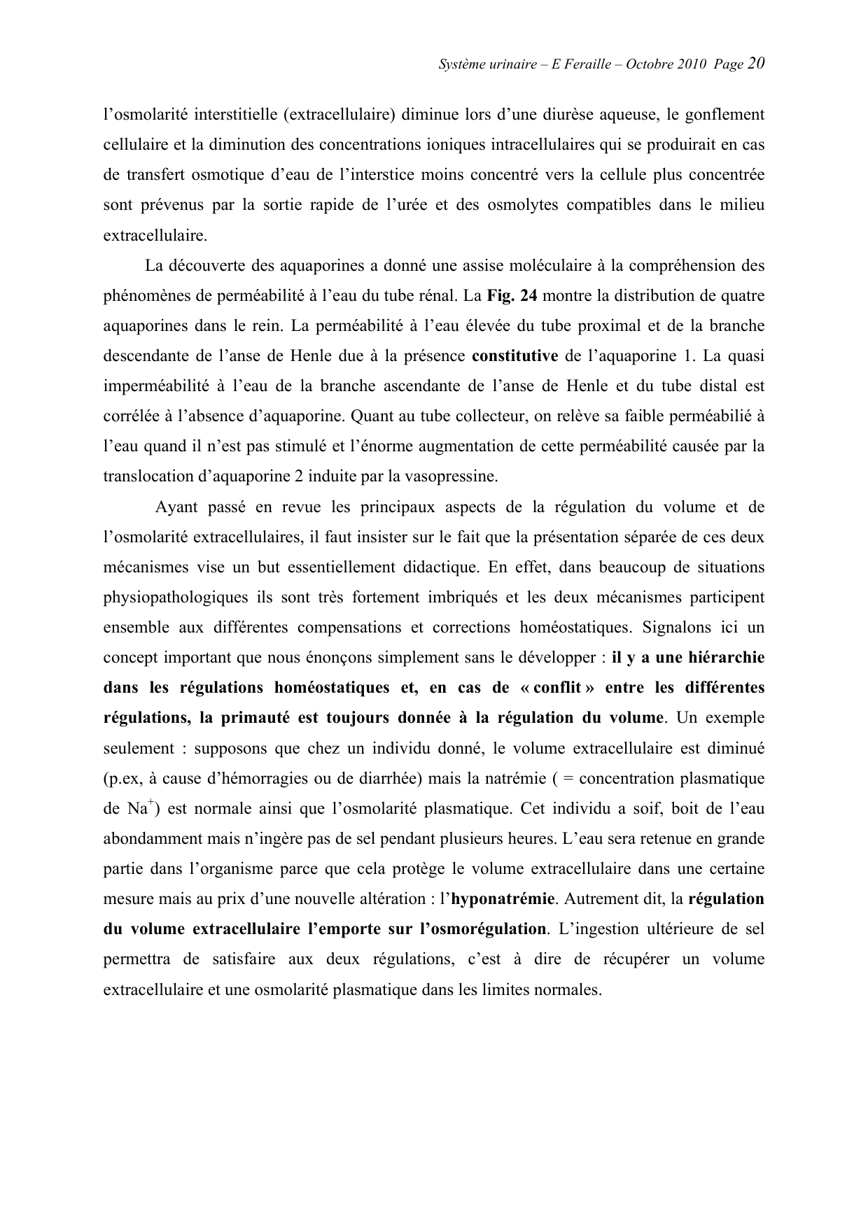 Système urinaire — ancien polycopié page 20