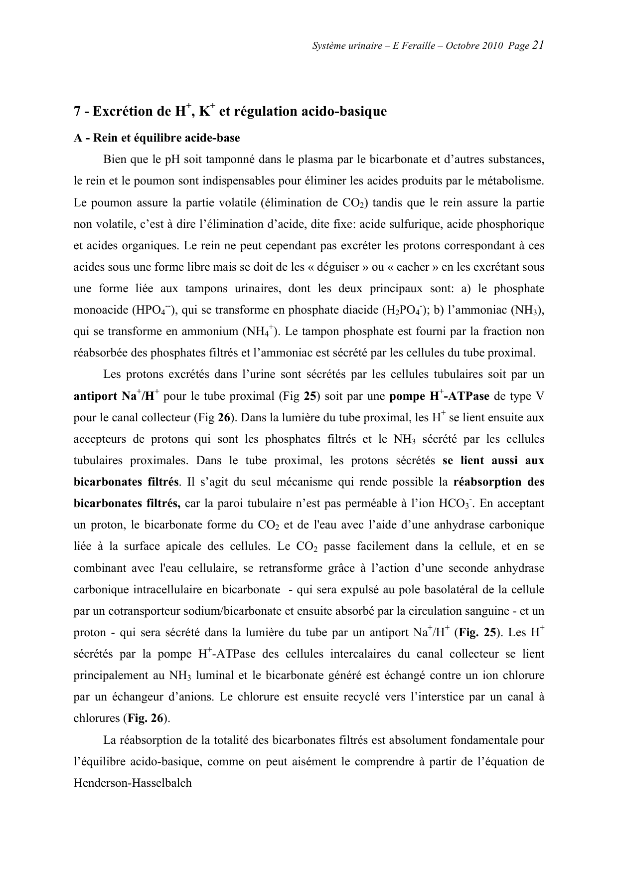 Système urinaire — ancien polycopié page 21