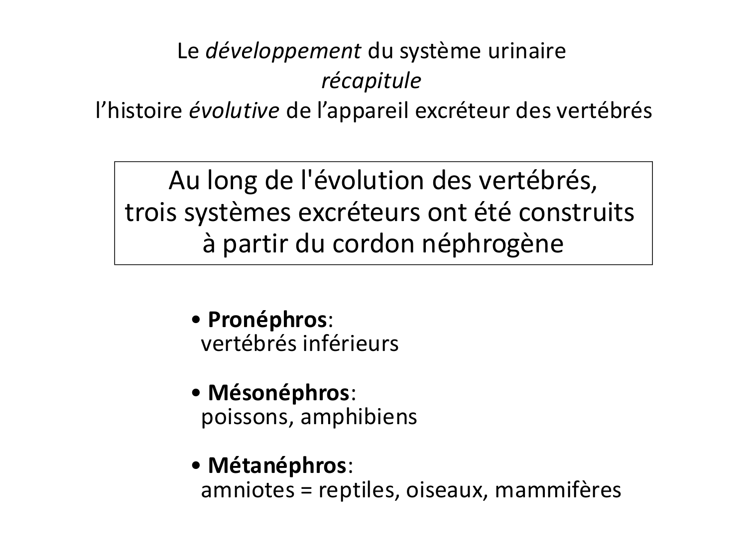 Dév Système Urinaire 2025-26 page 9