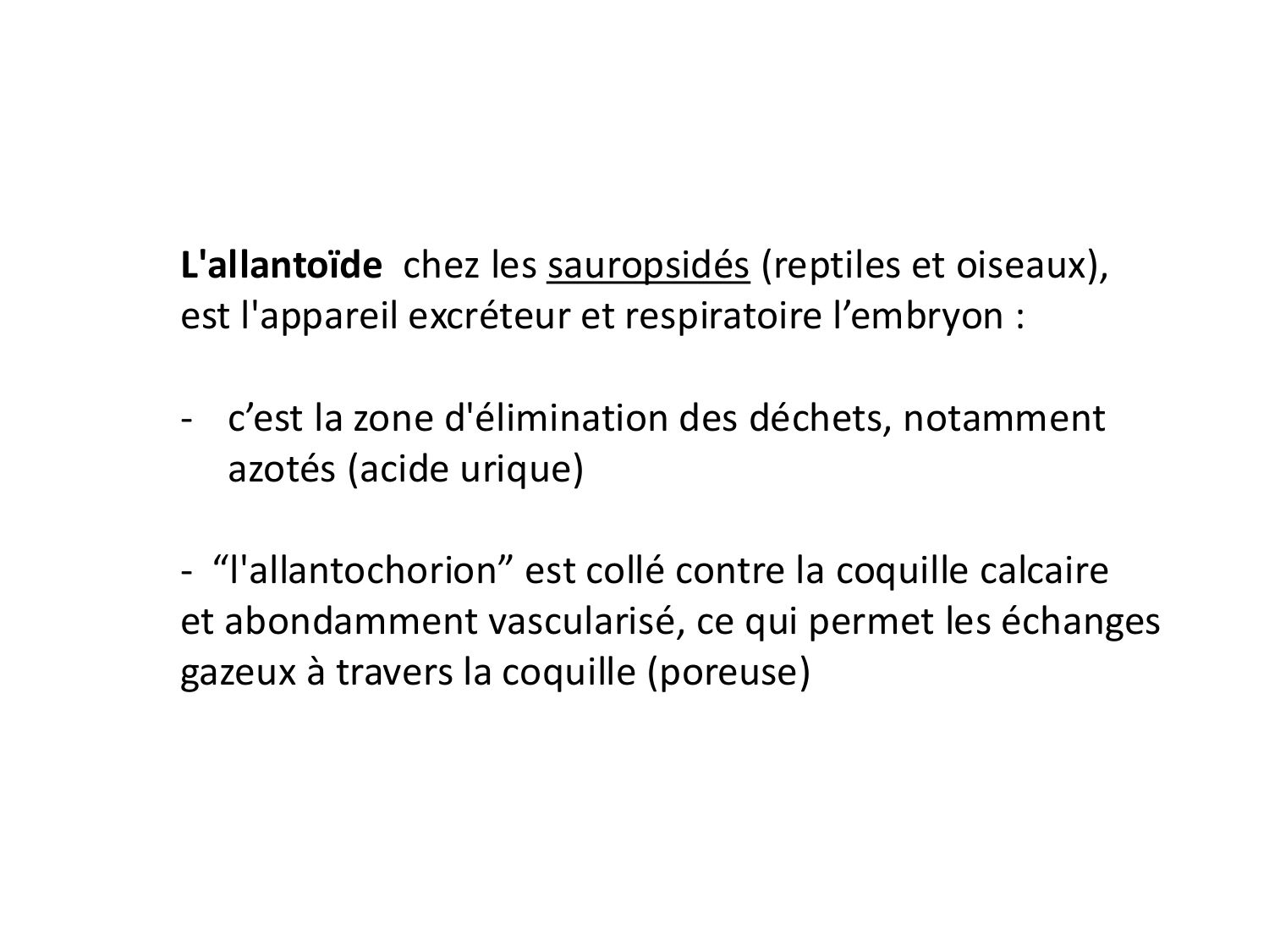 Dév Système Urinaire 2025-26 page 20