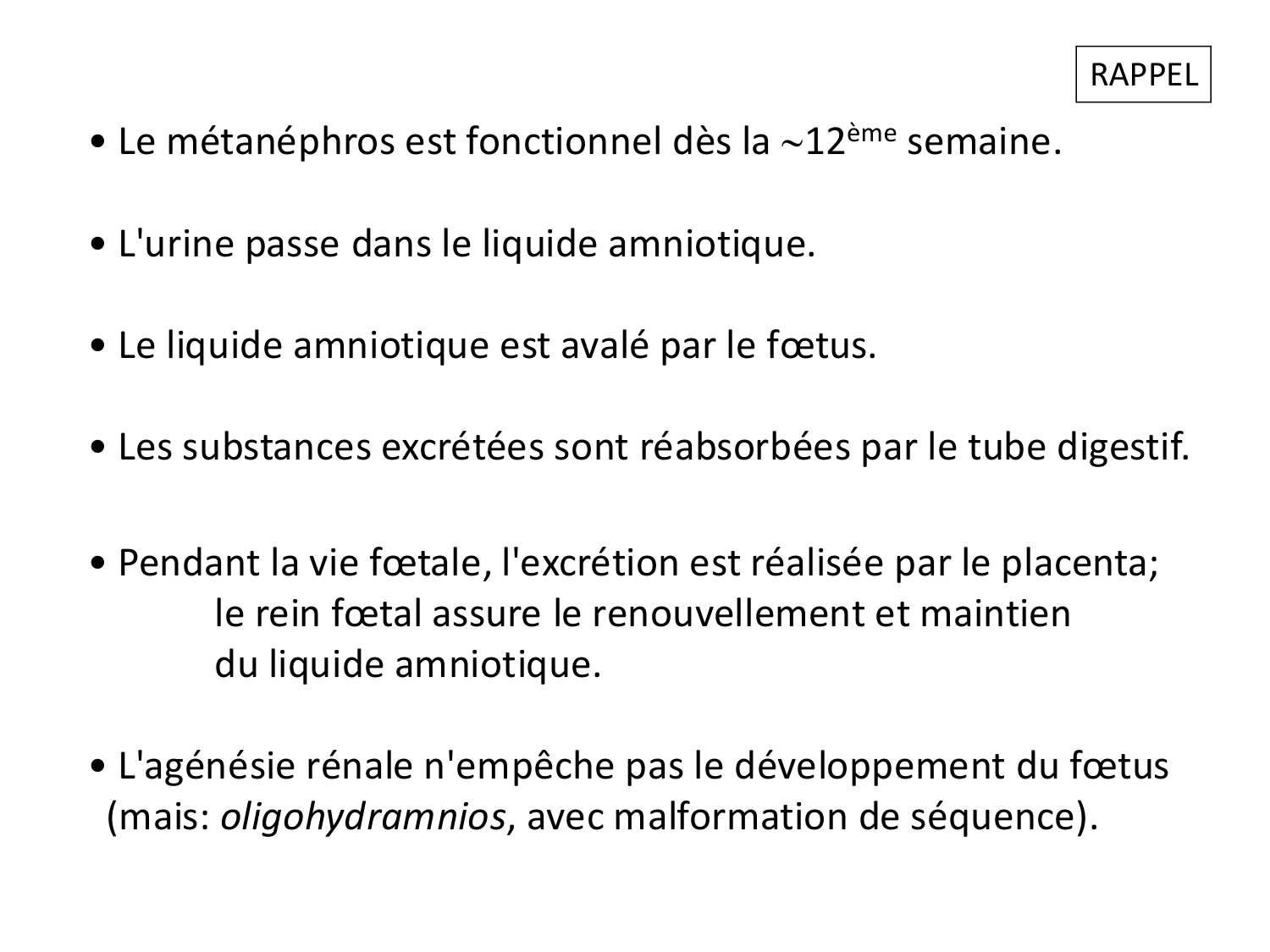 Dév Système Urinaire 2025-26 page 53