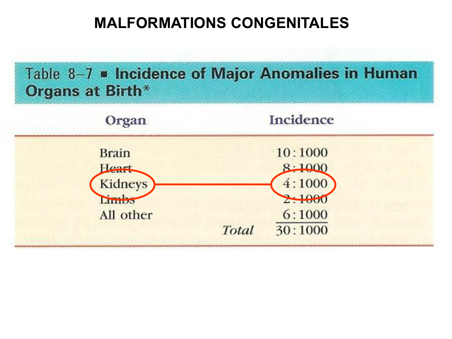 Dév Système Urinaire 2025-26 page 60